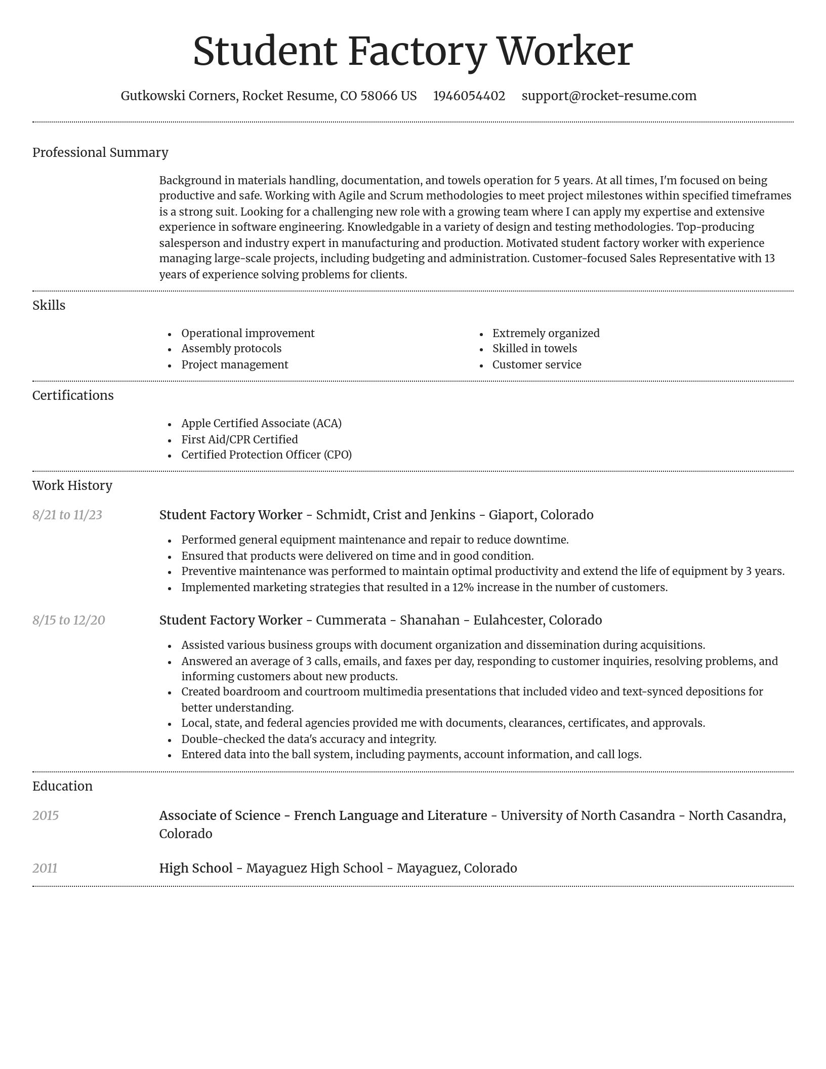 Dignified resume template