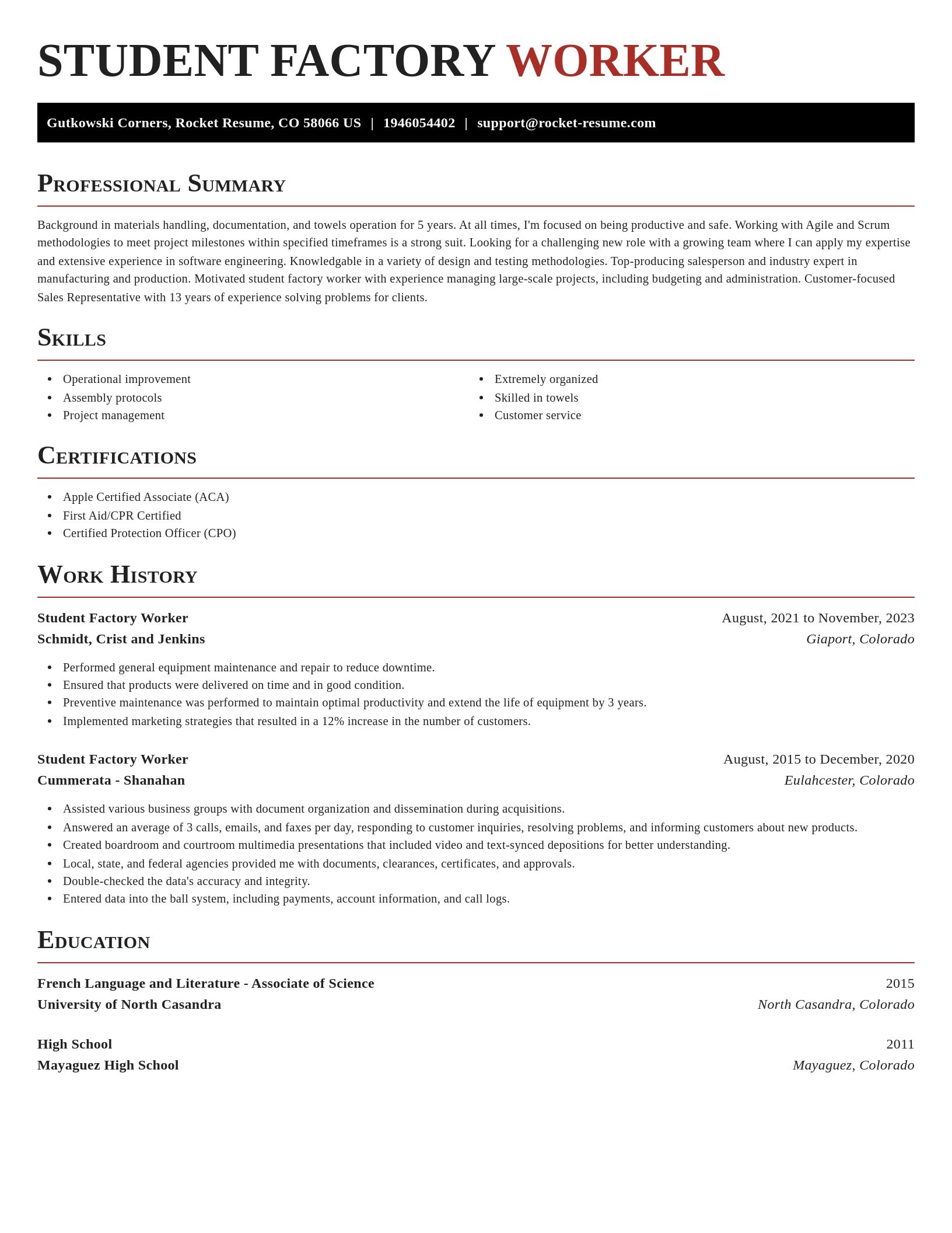 Exquisite resume template