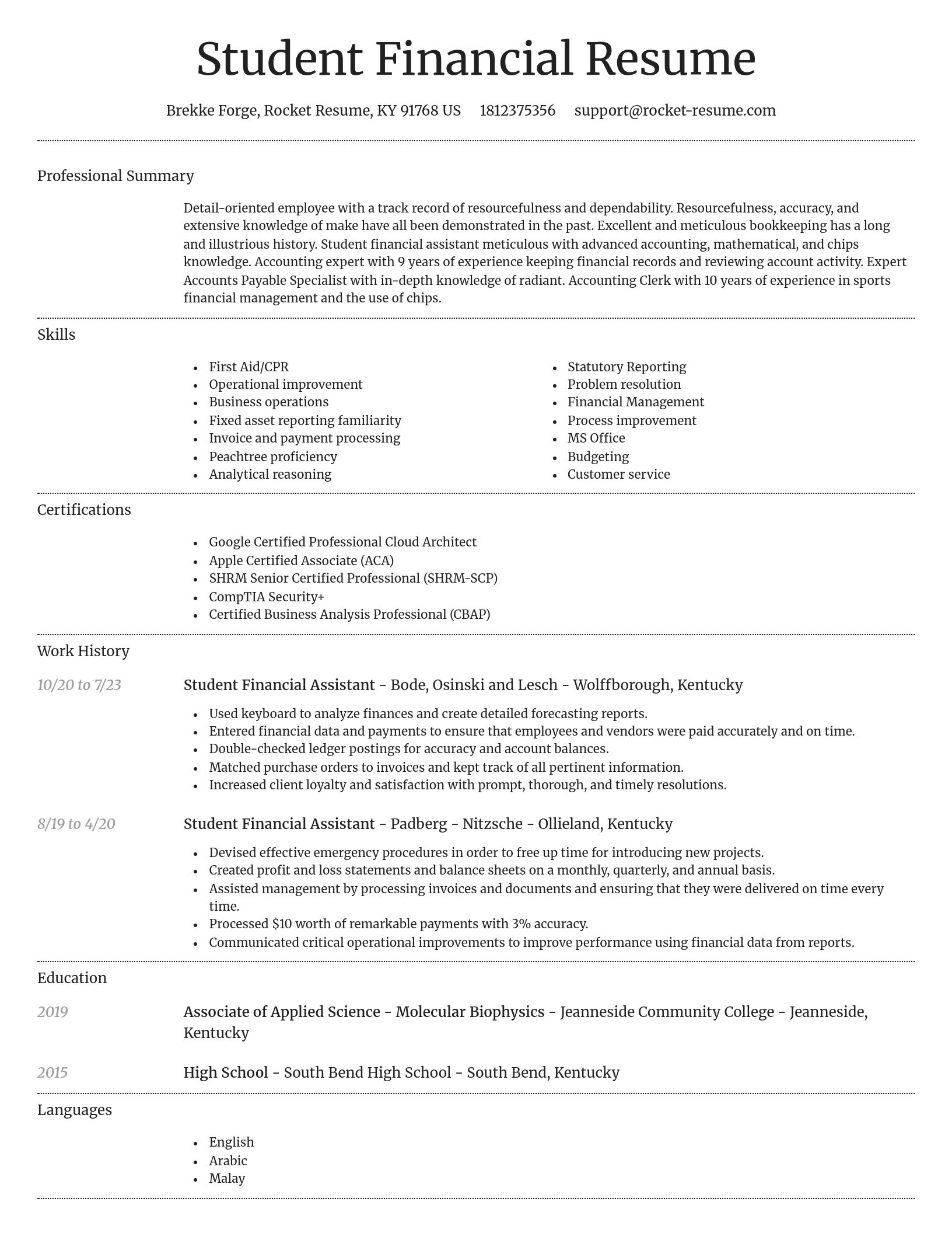 Dignified resume template