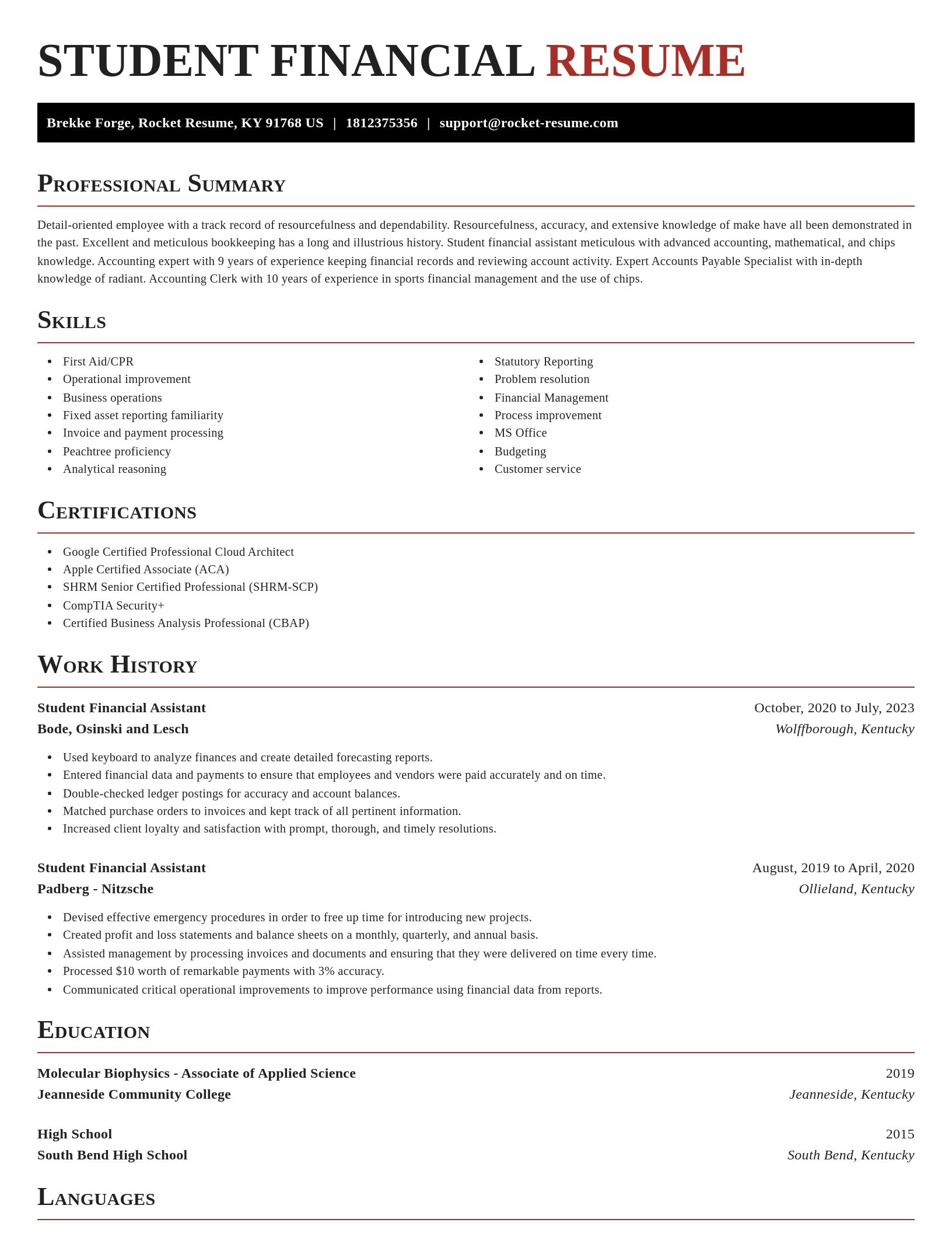 Exquisite resume template