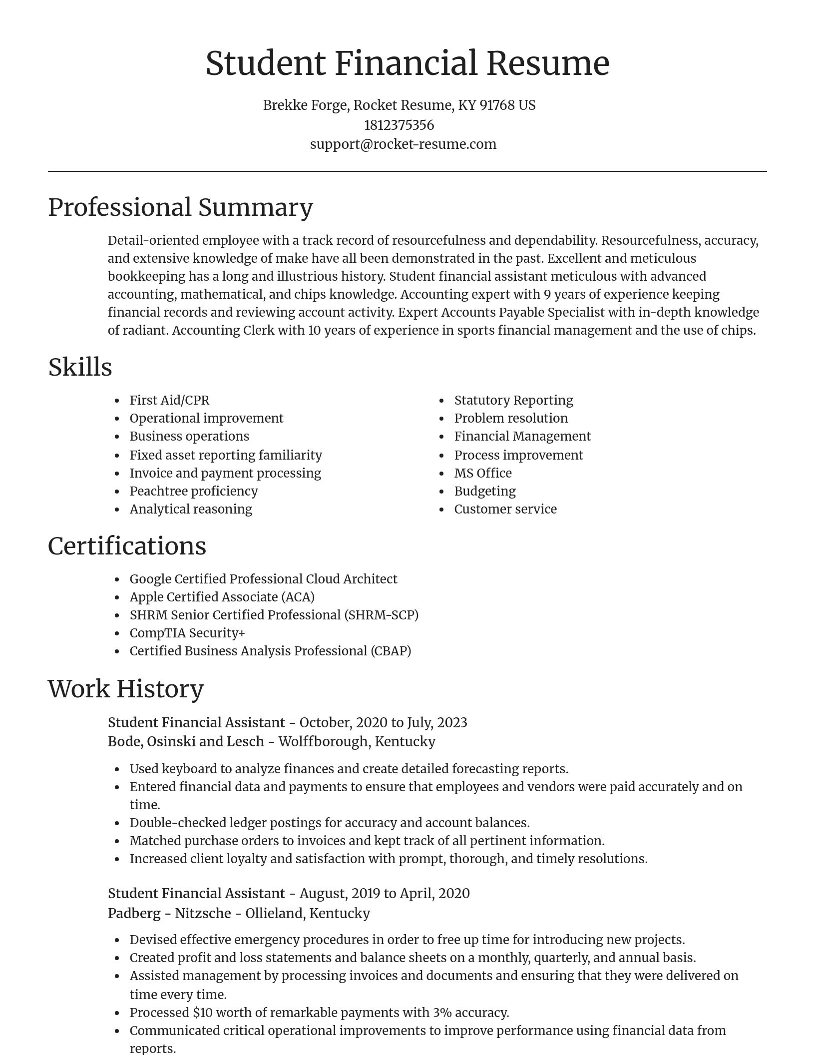 Focal Point resume template