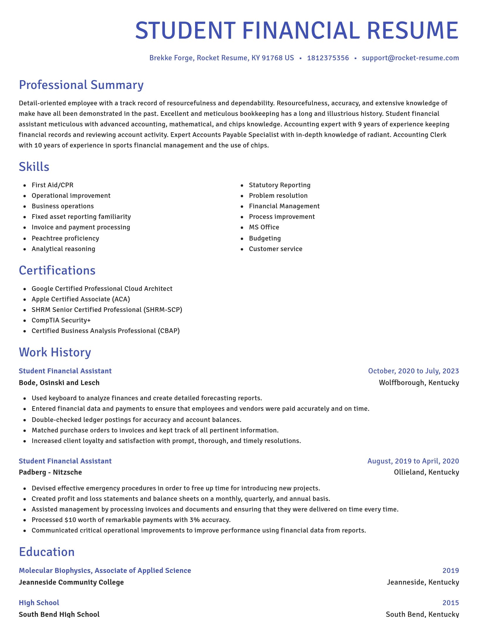 Novel resume template