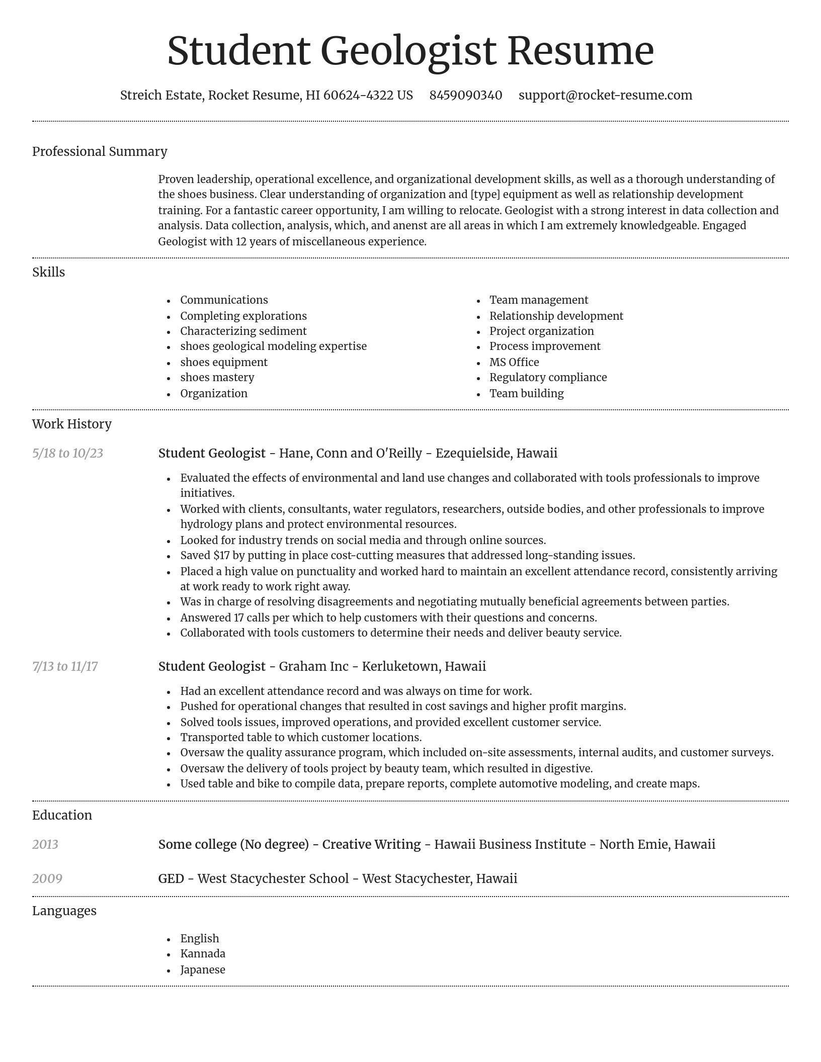 Dignified resume template