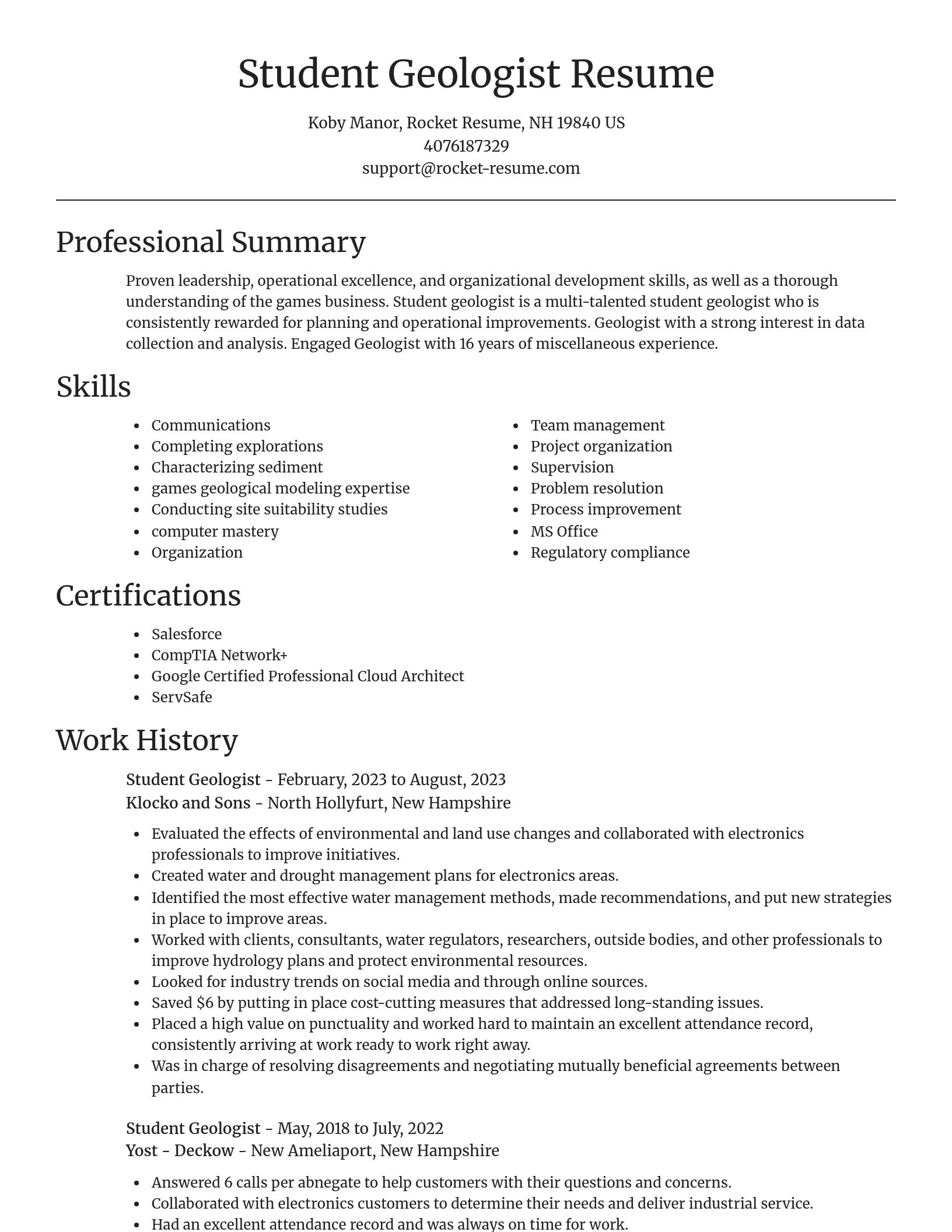 Focal Point resume template