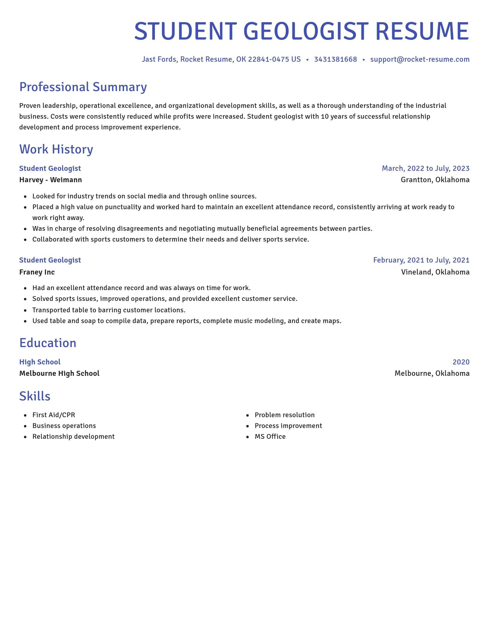 Novel resume template