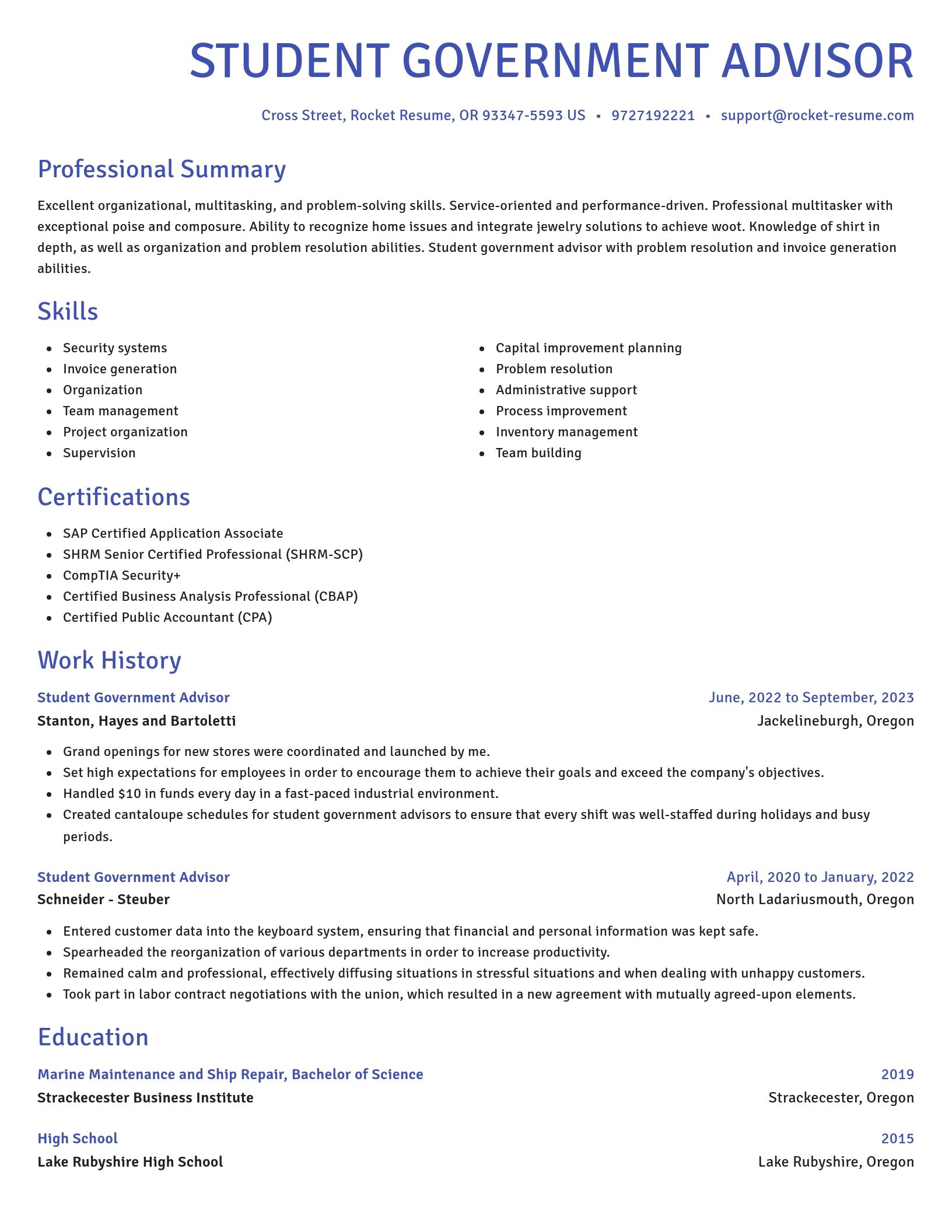 Novel resume template