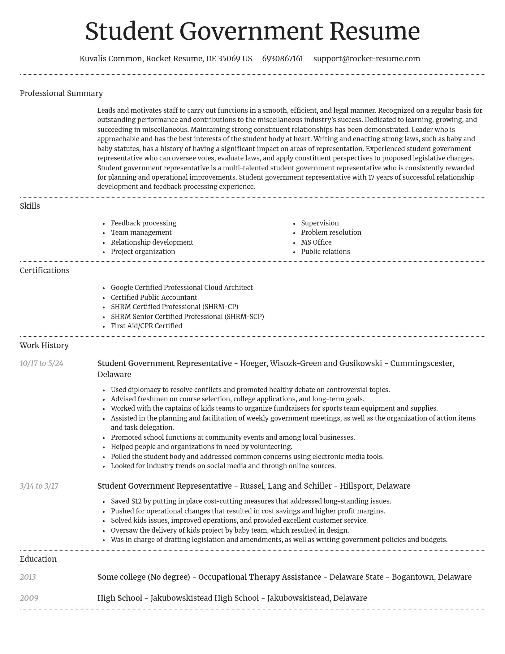 Dignified resume template