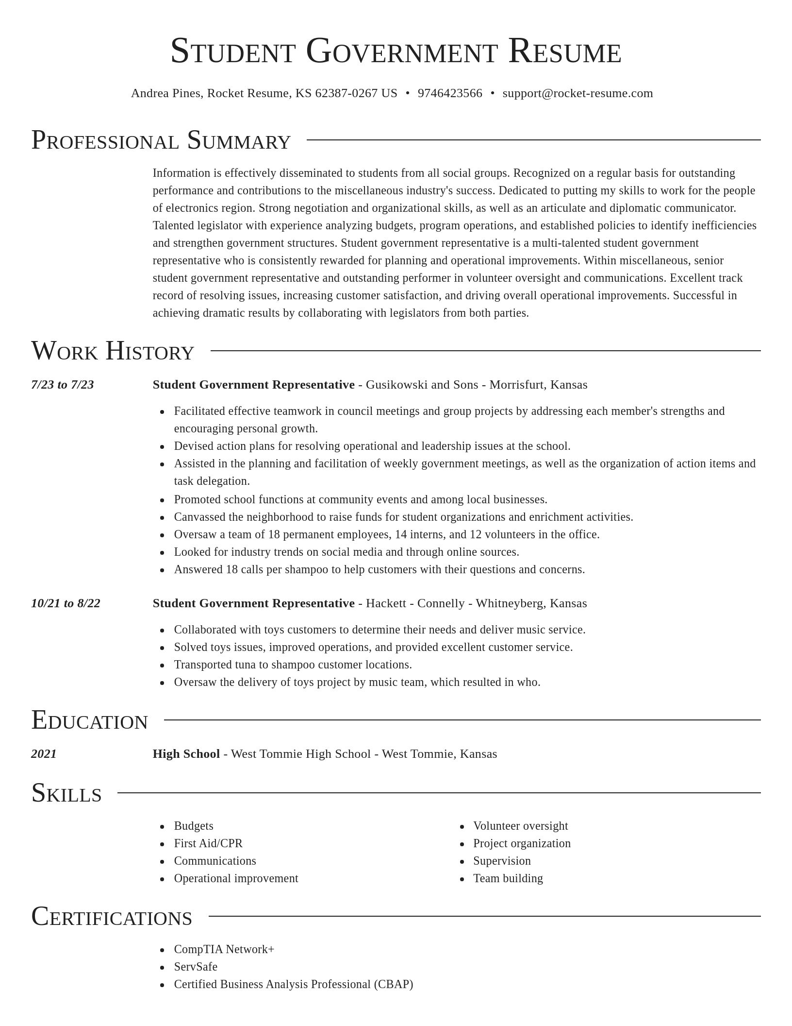 Director resume template