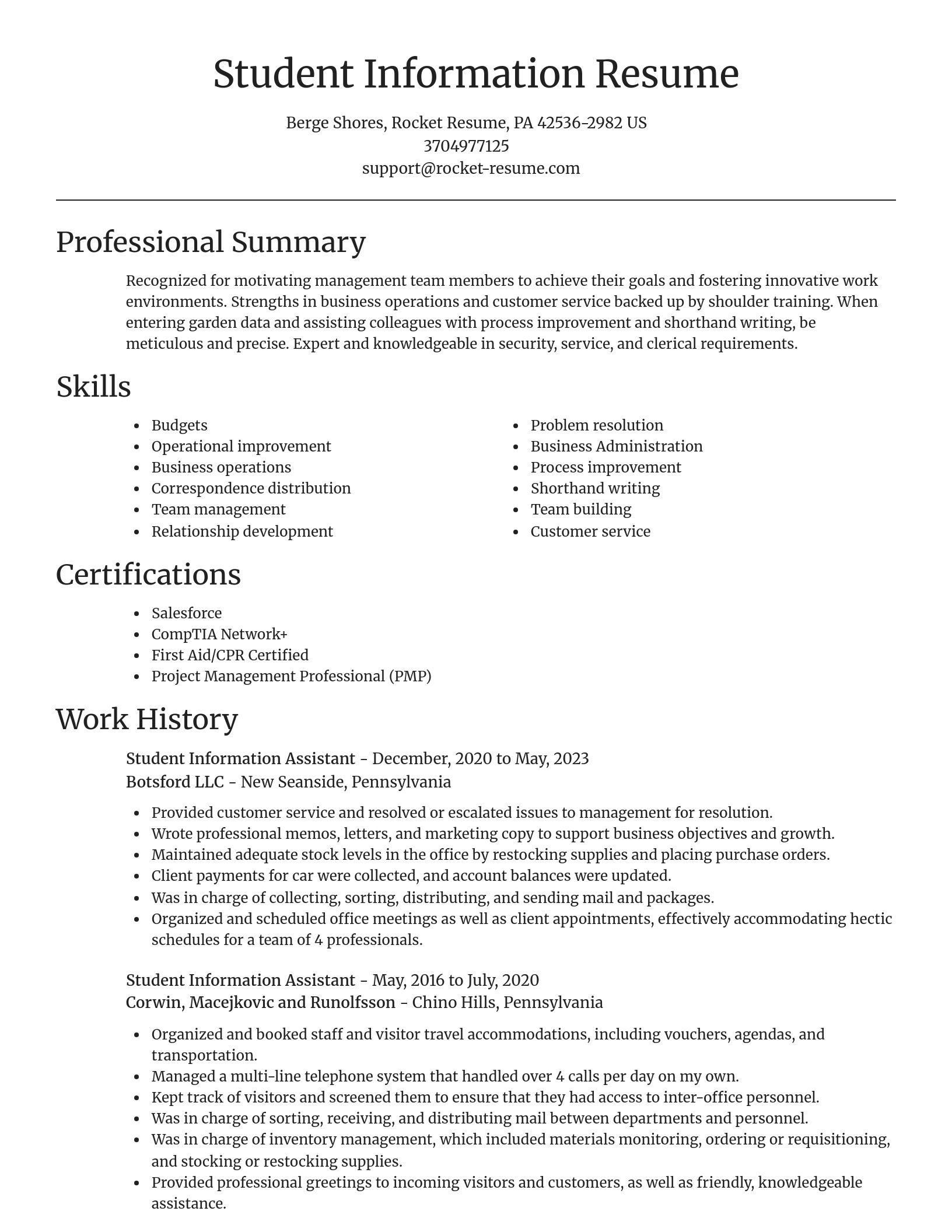 Focal Point resume template