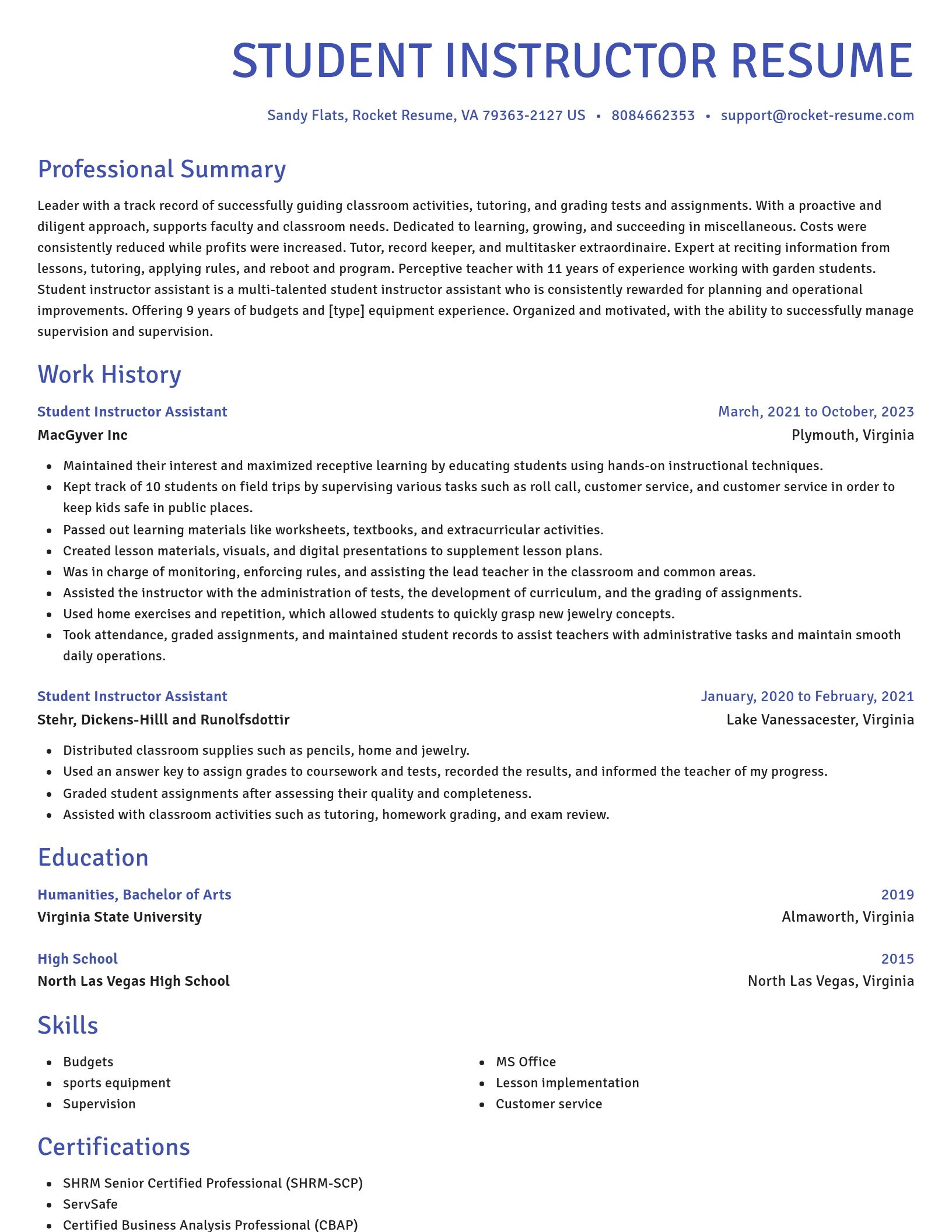 Novel resume template