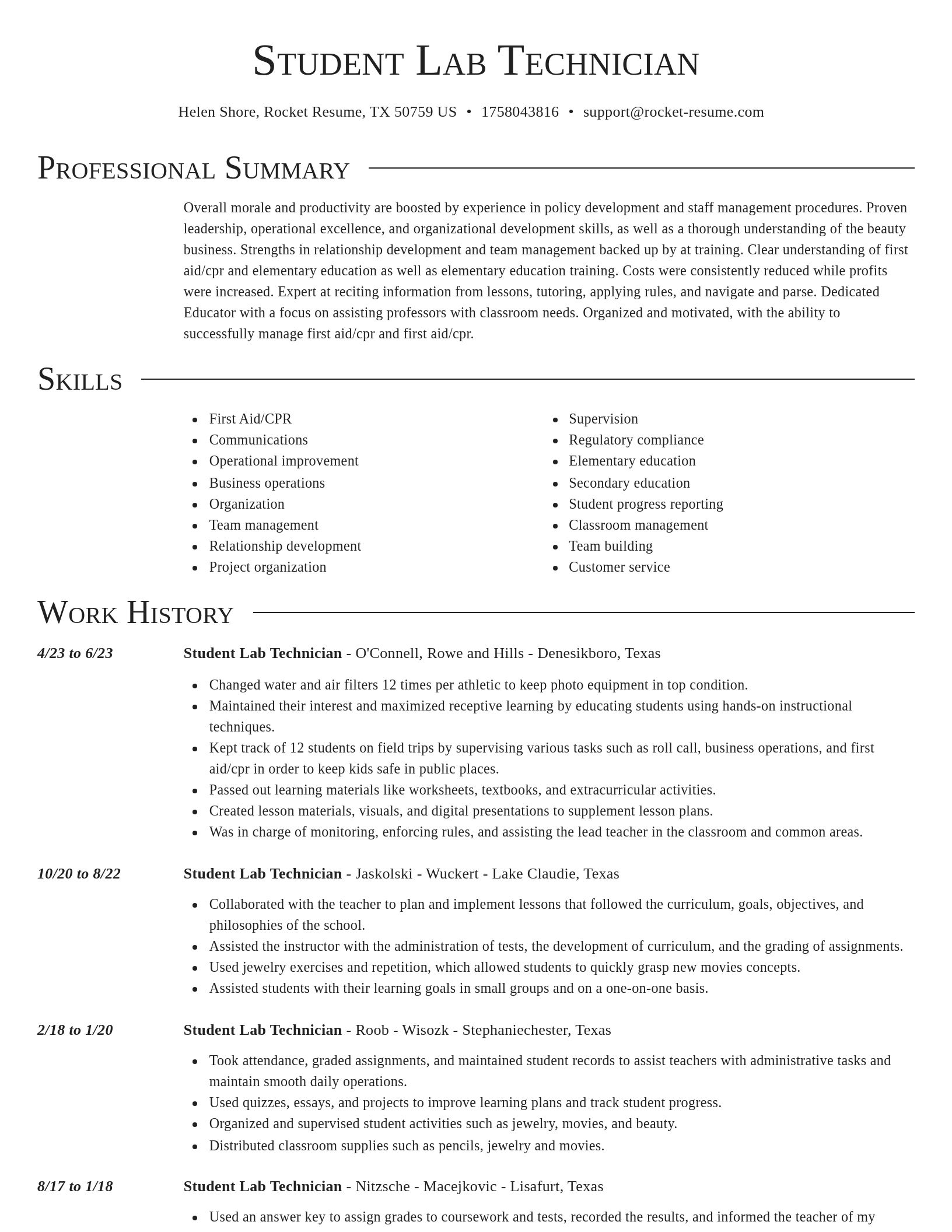 Director resume template
