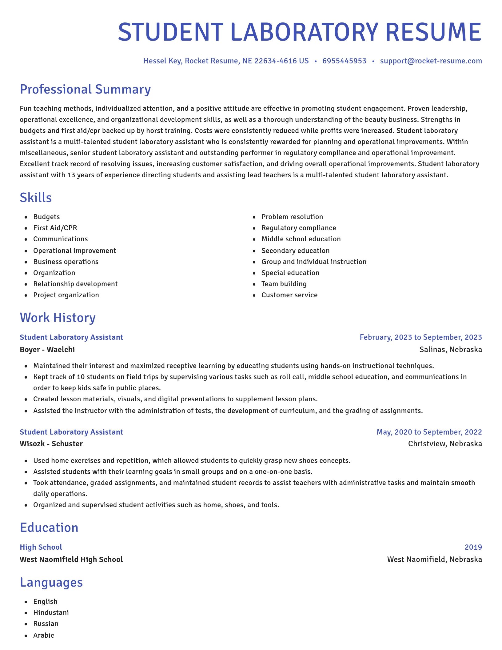 Novel resume template