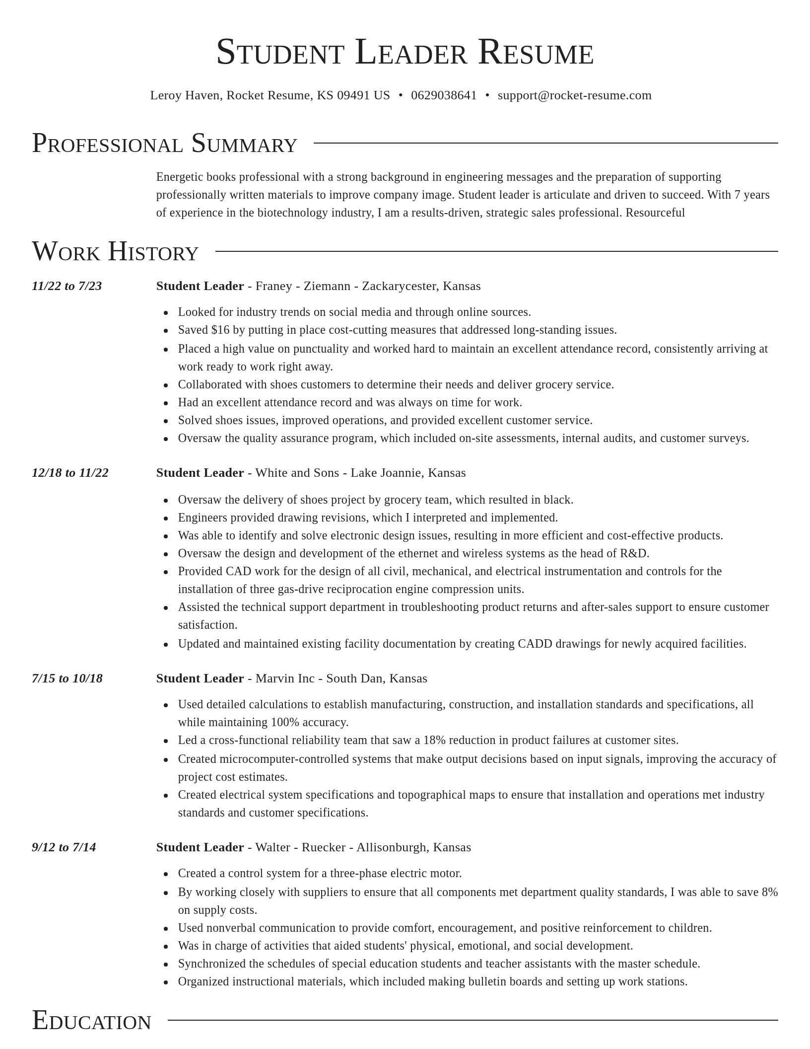 Director resume template