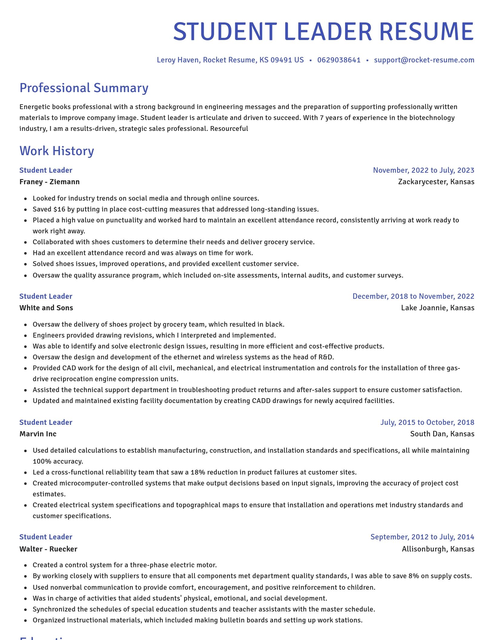 Novel resume template