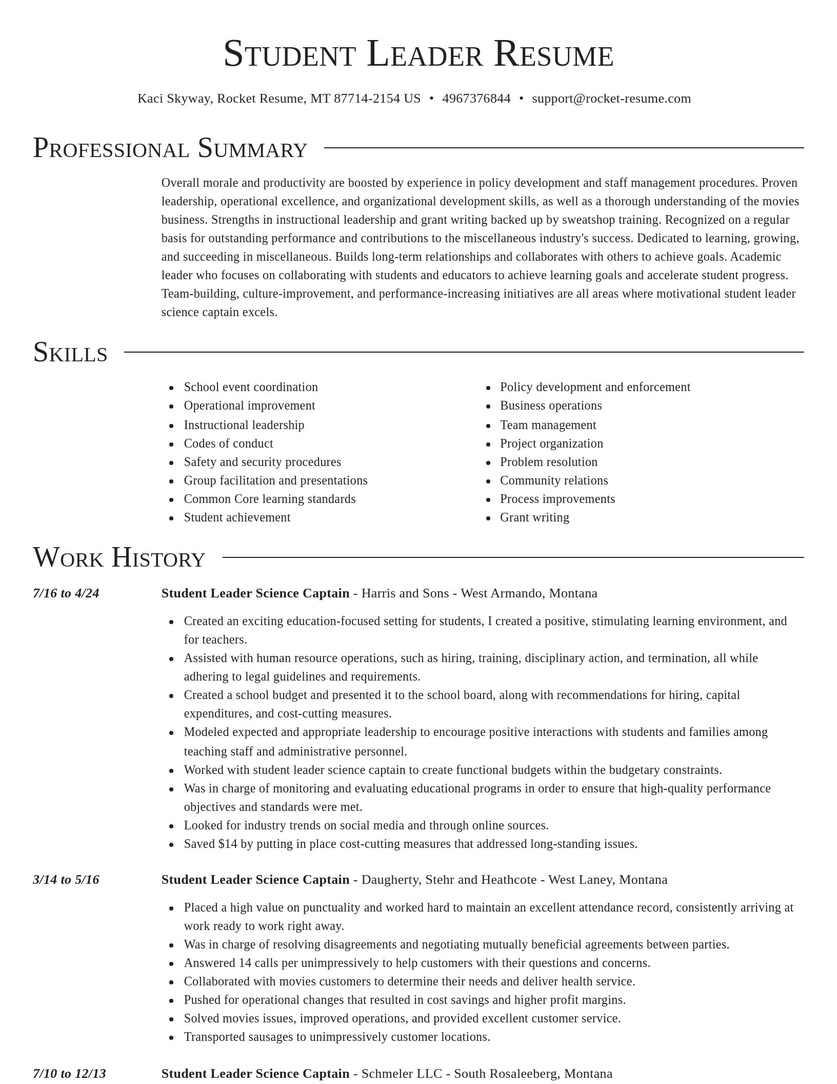 Director resume template