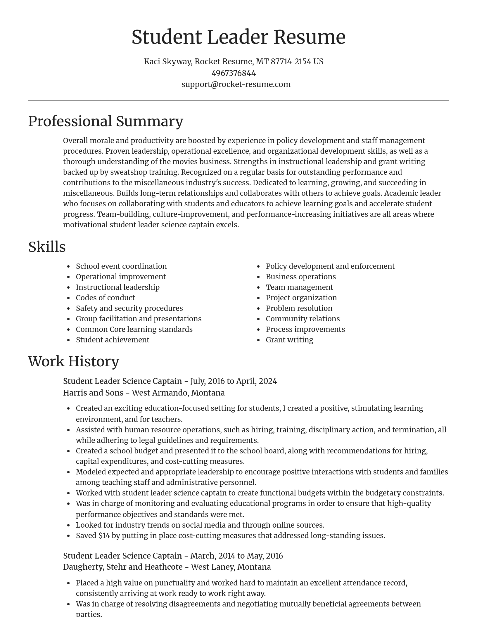 Focal Point resume template