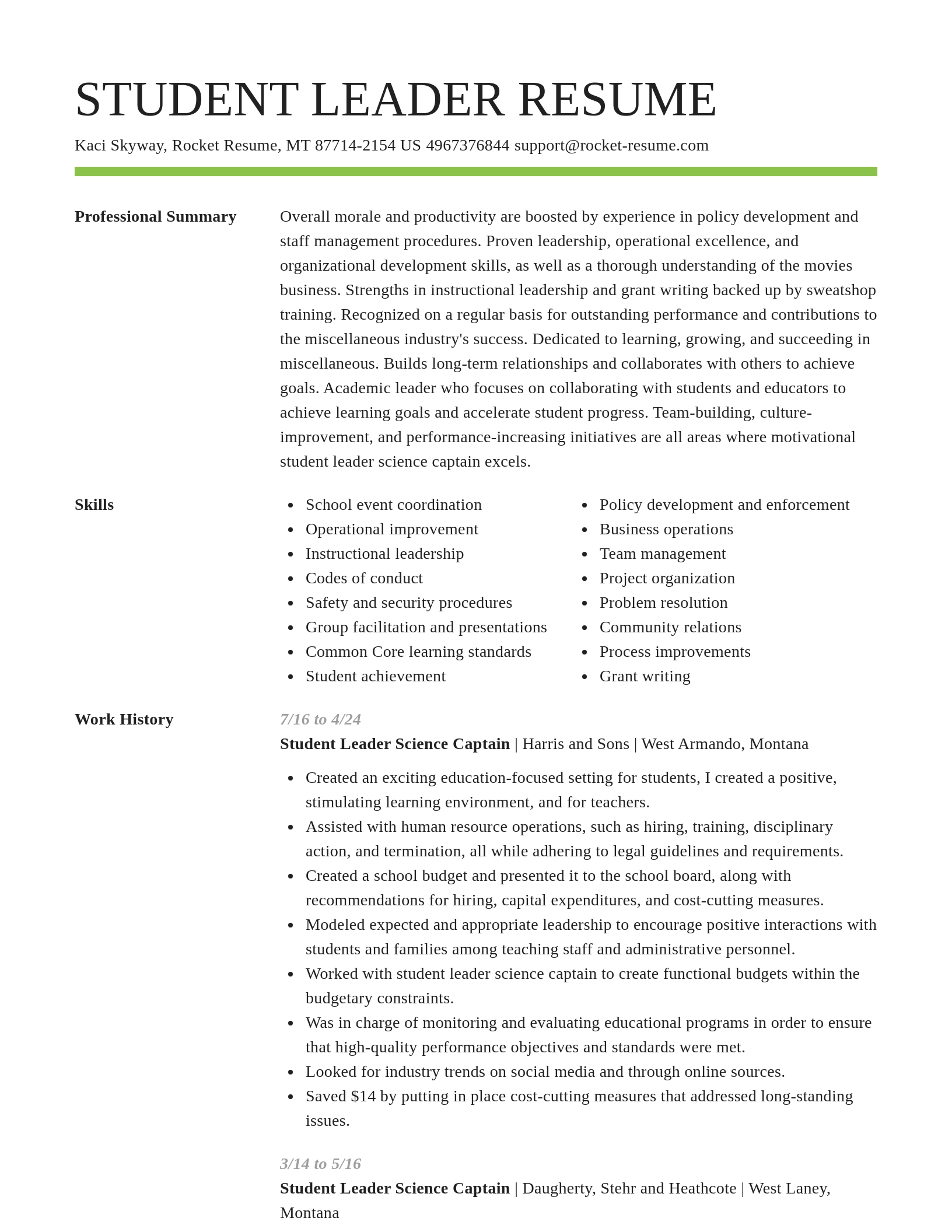 Smart resume template