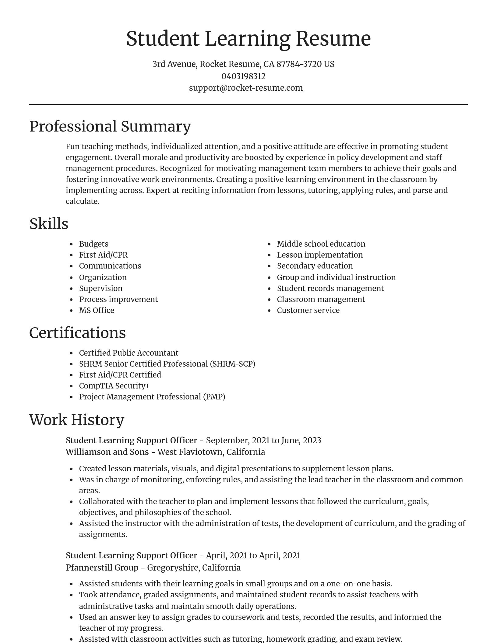 Focal Point resume template