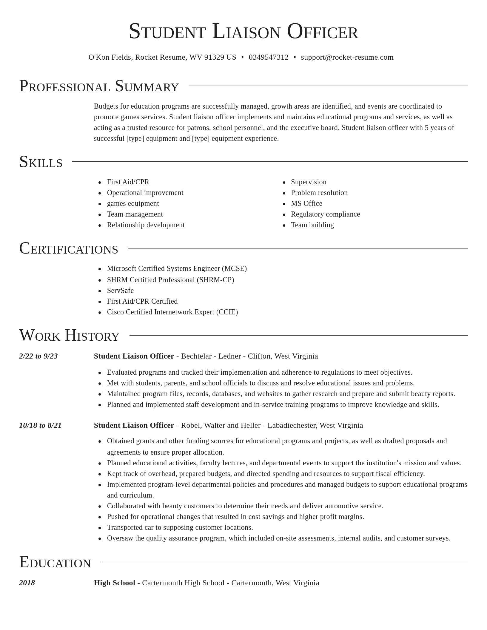 Director resume template