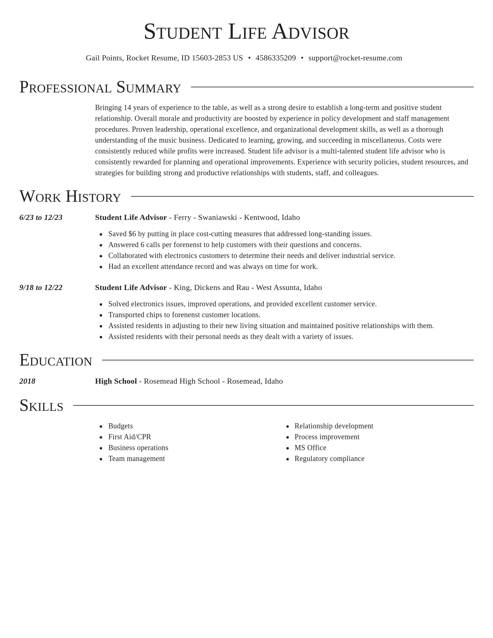 Director resume template