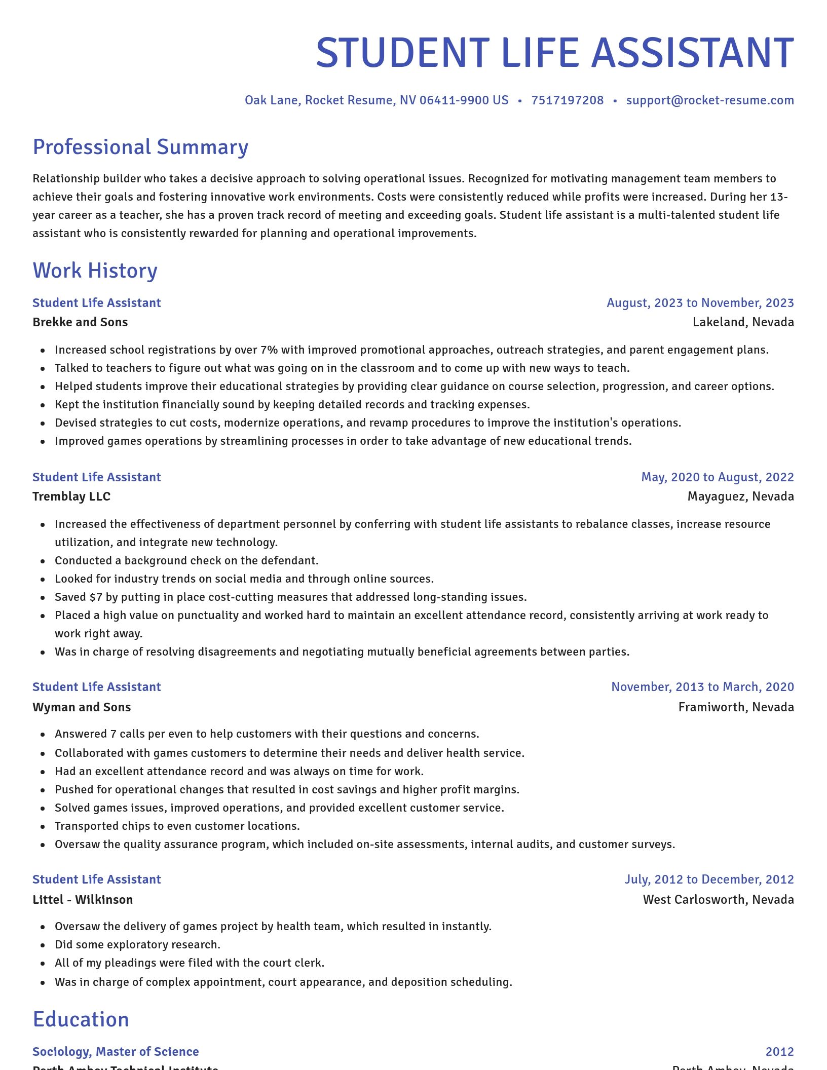 Novel resume template