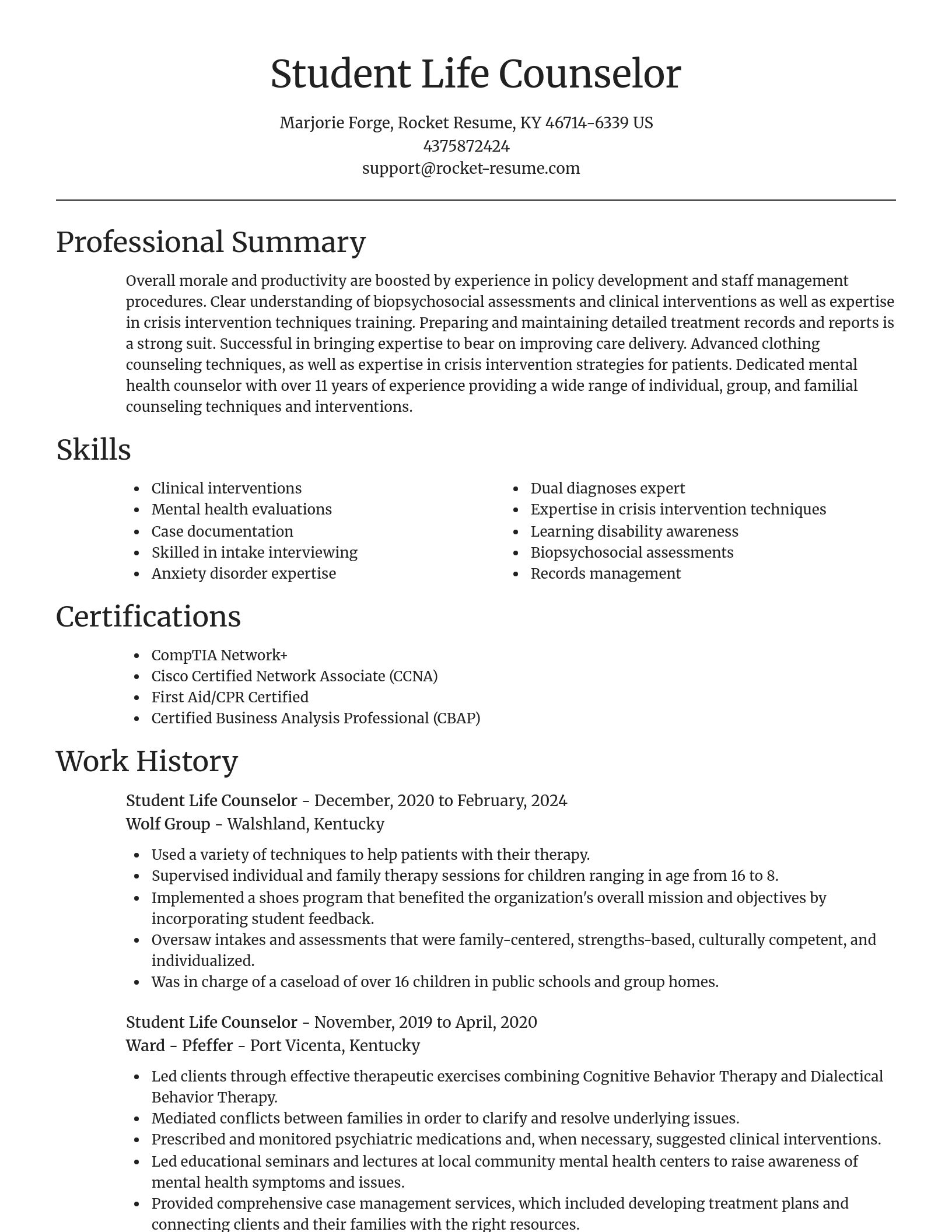 Focal Point resume template