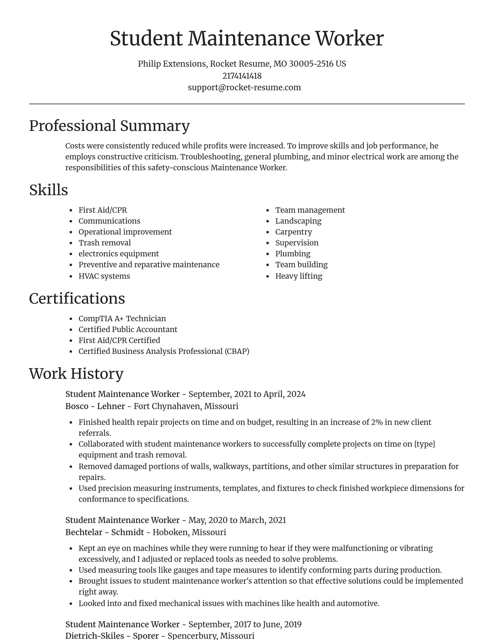 Focal Point resume template
