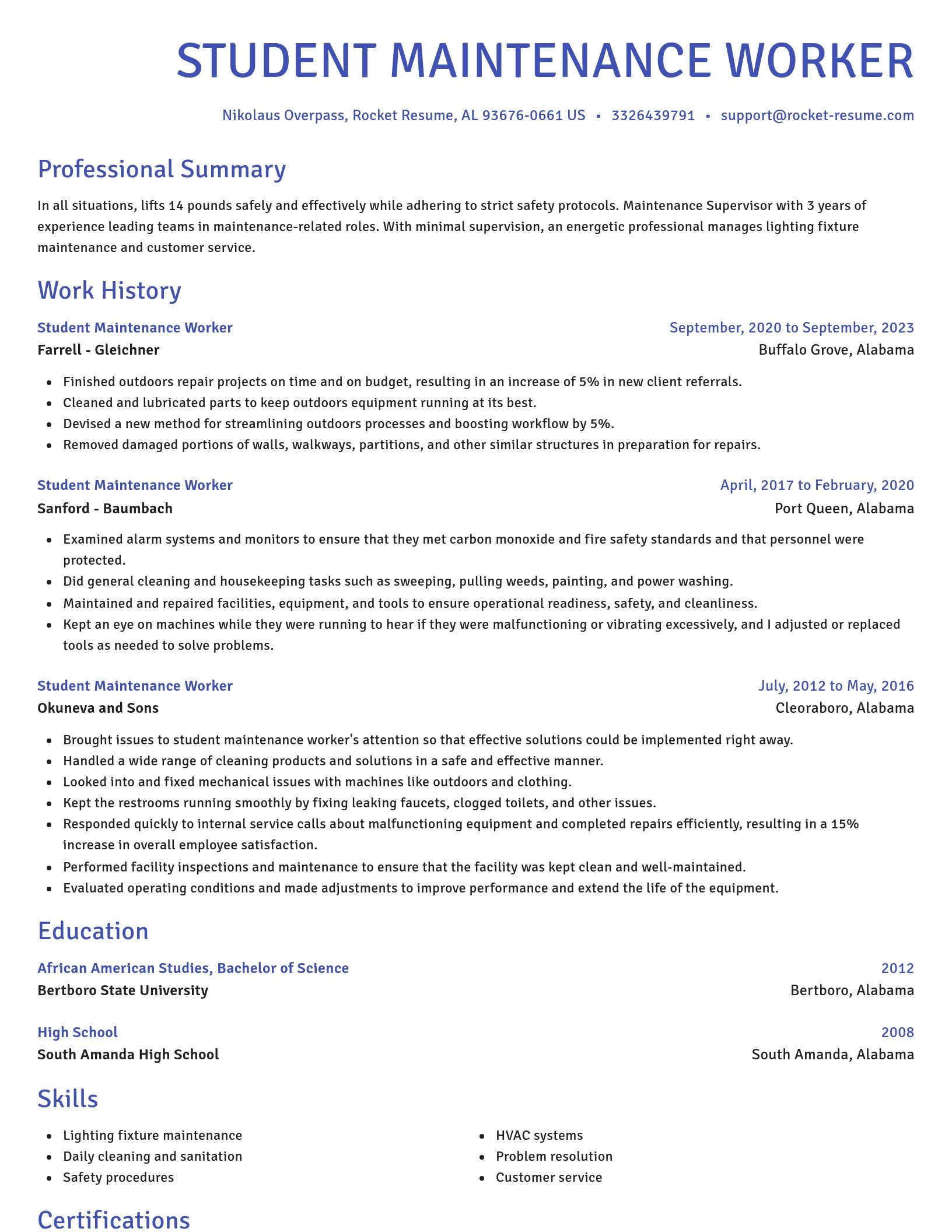 Novel resume template