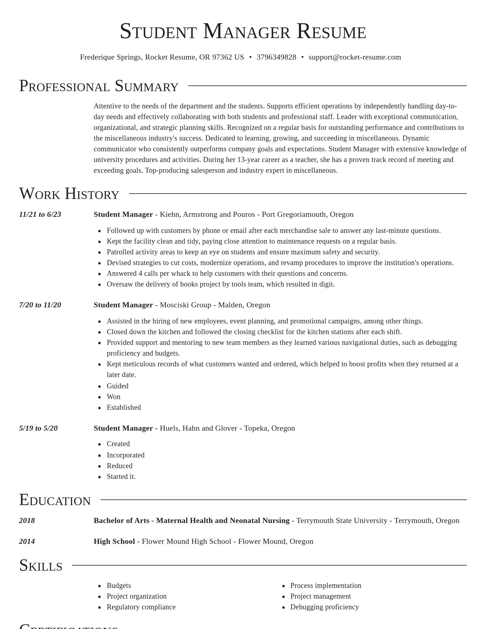Director resume template