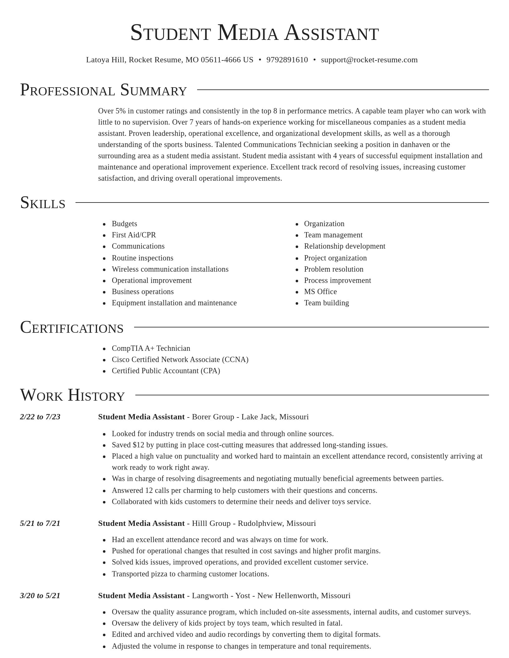 Director resume template