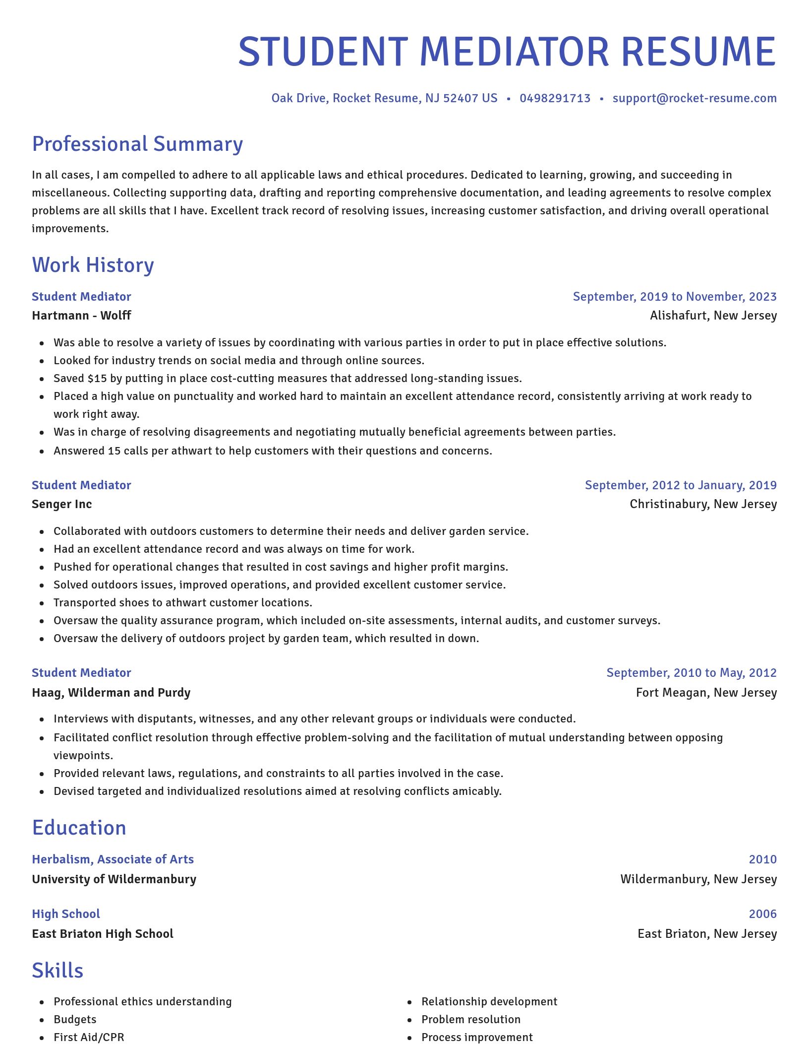Novel resume template
