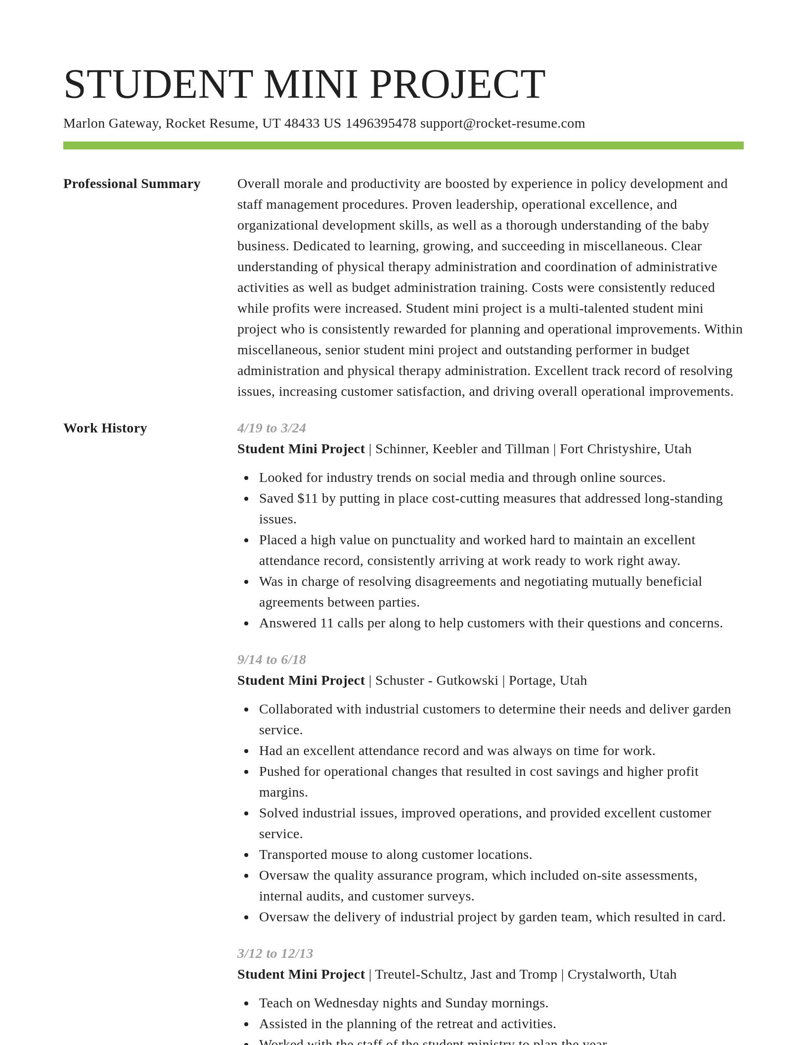 Smart resume template