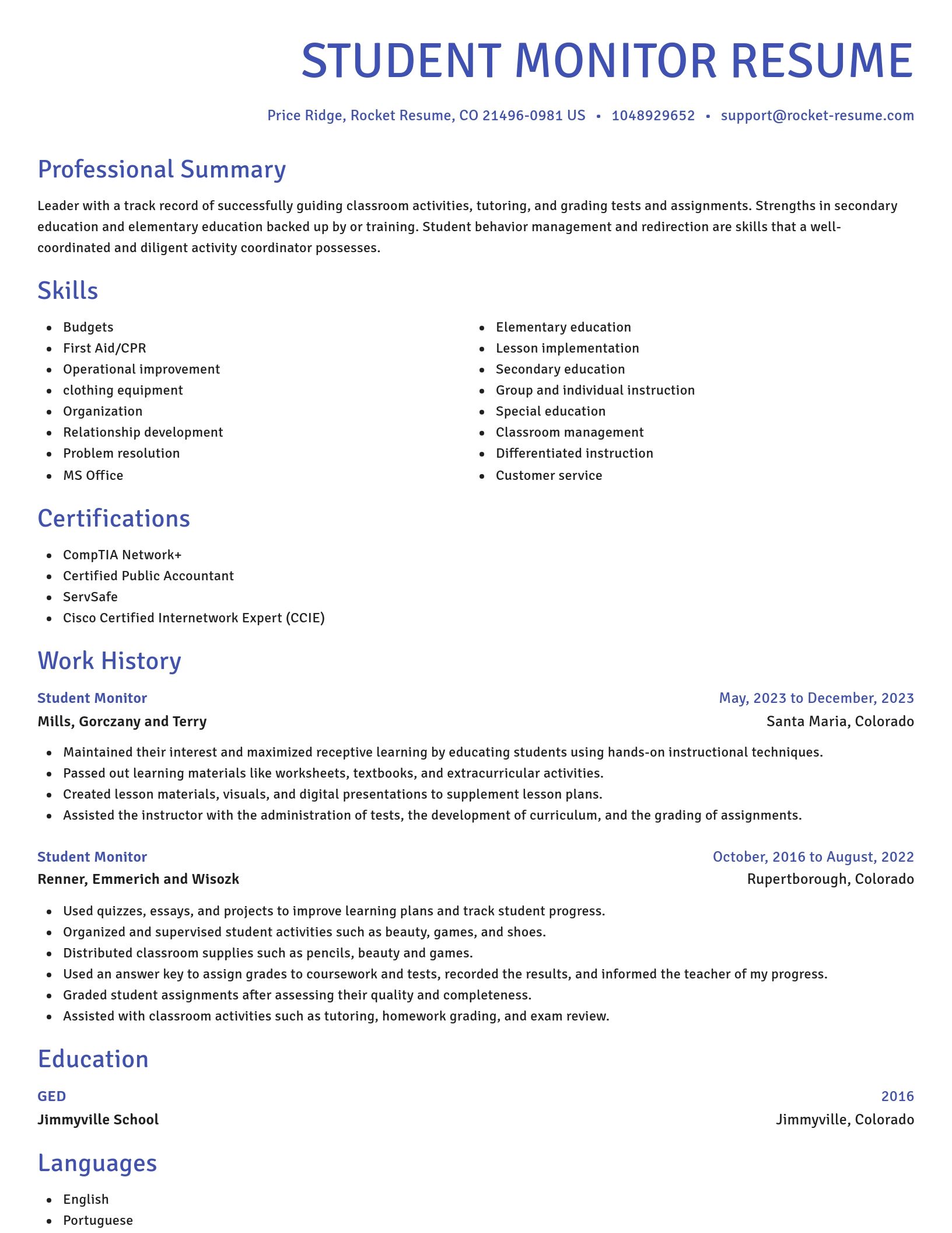 Novel resume template