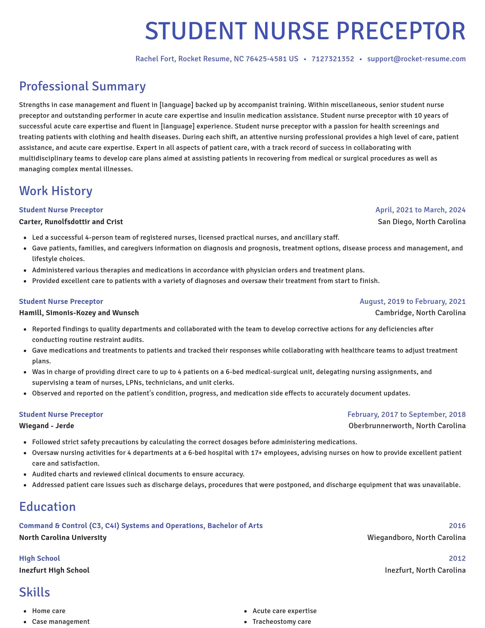 Novel resume template
