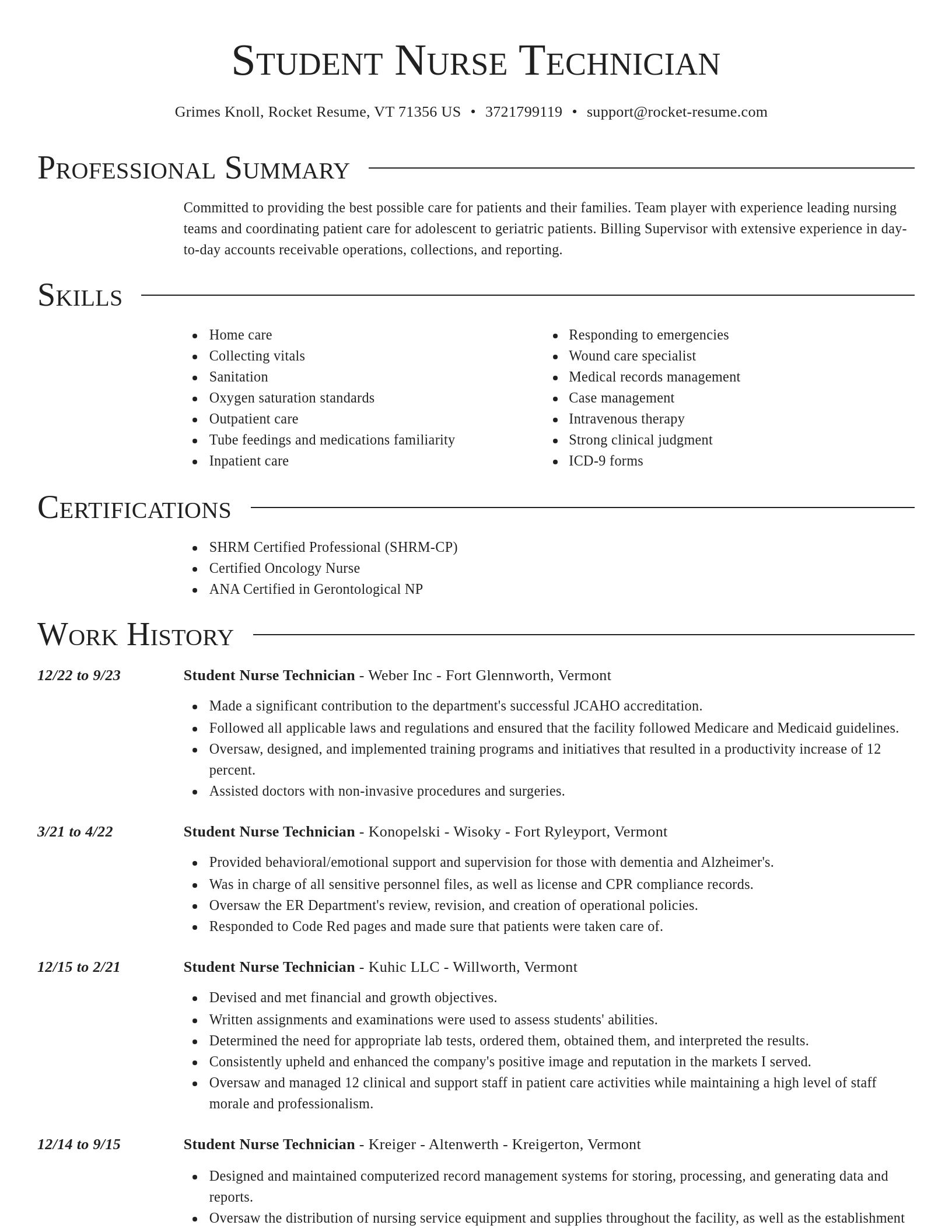 Director resume template