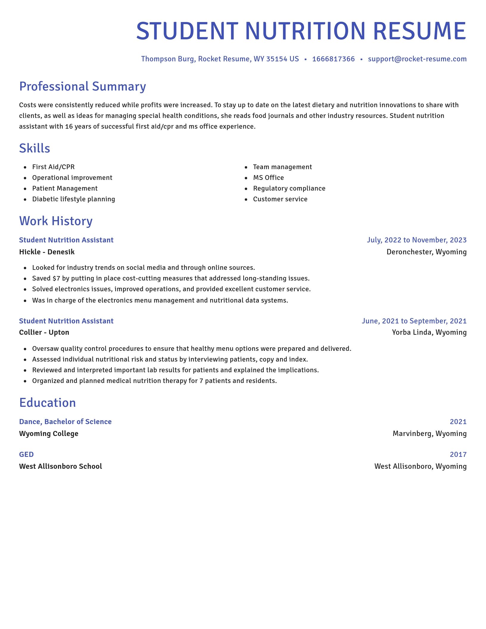 Novel resume template