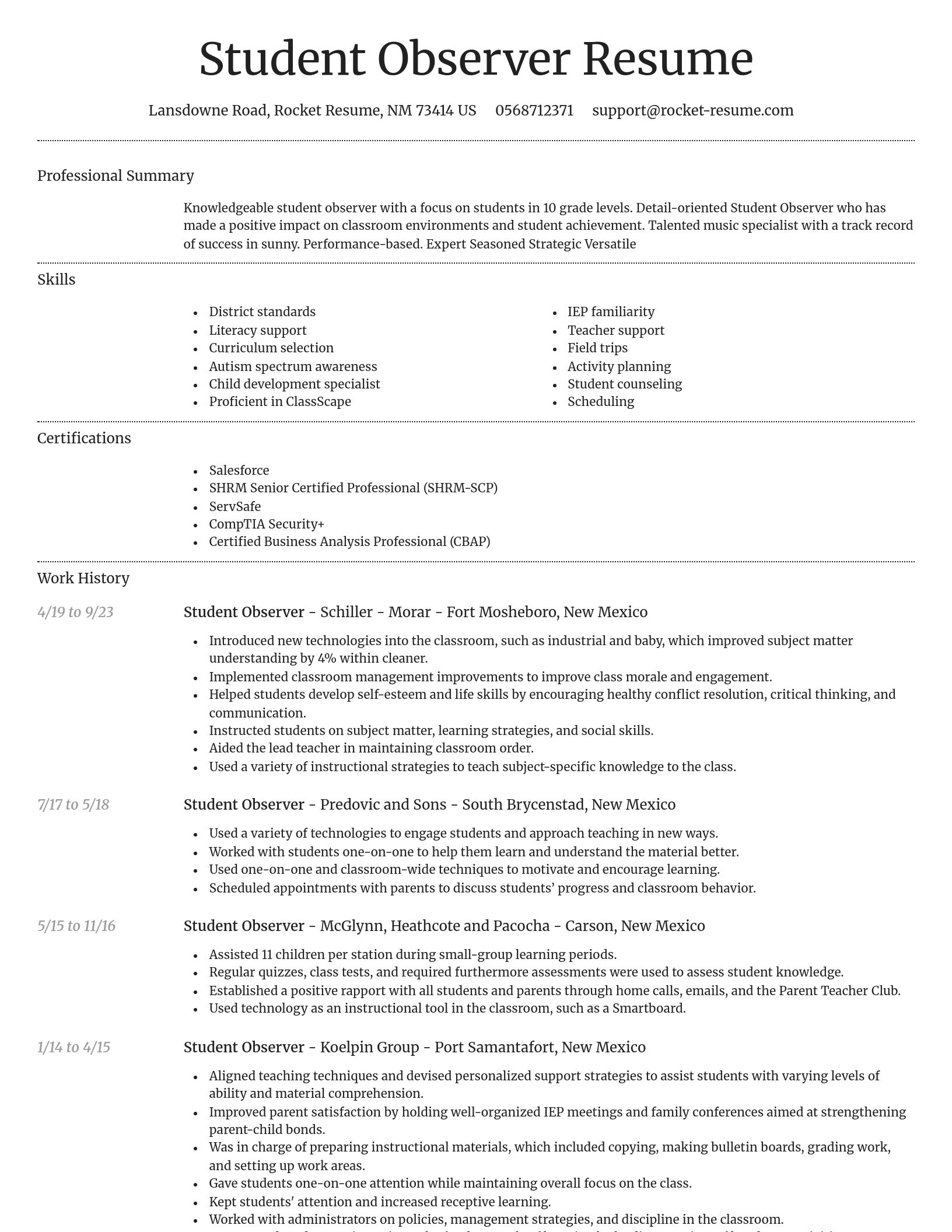 Dignified resume template