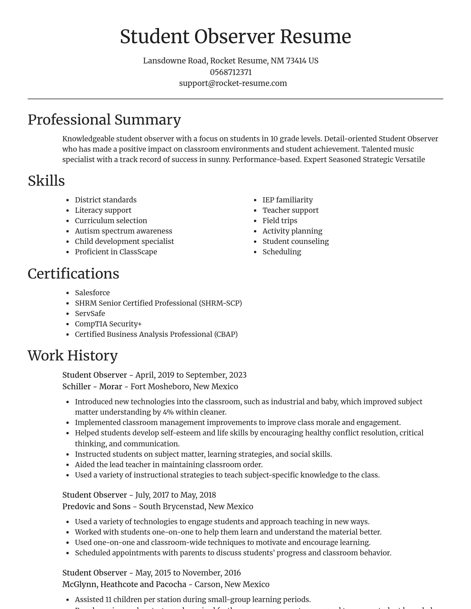 Focal Point resume template