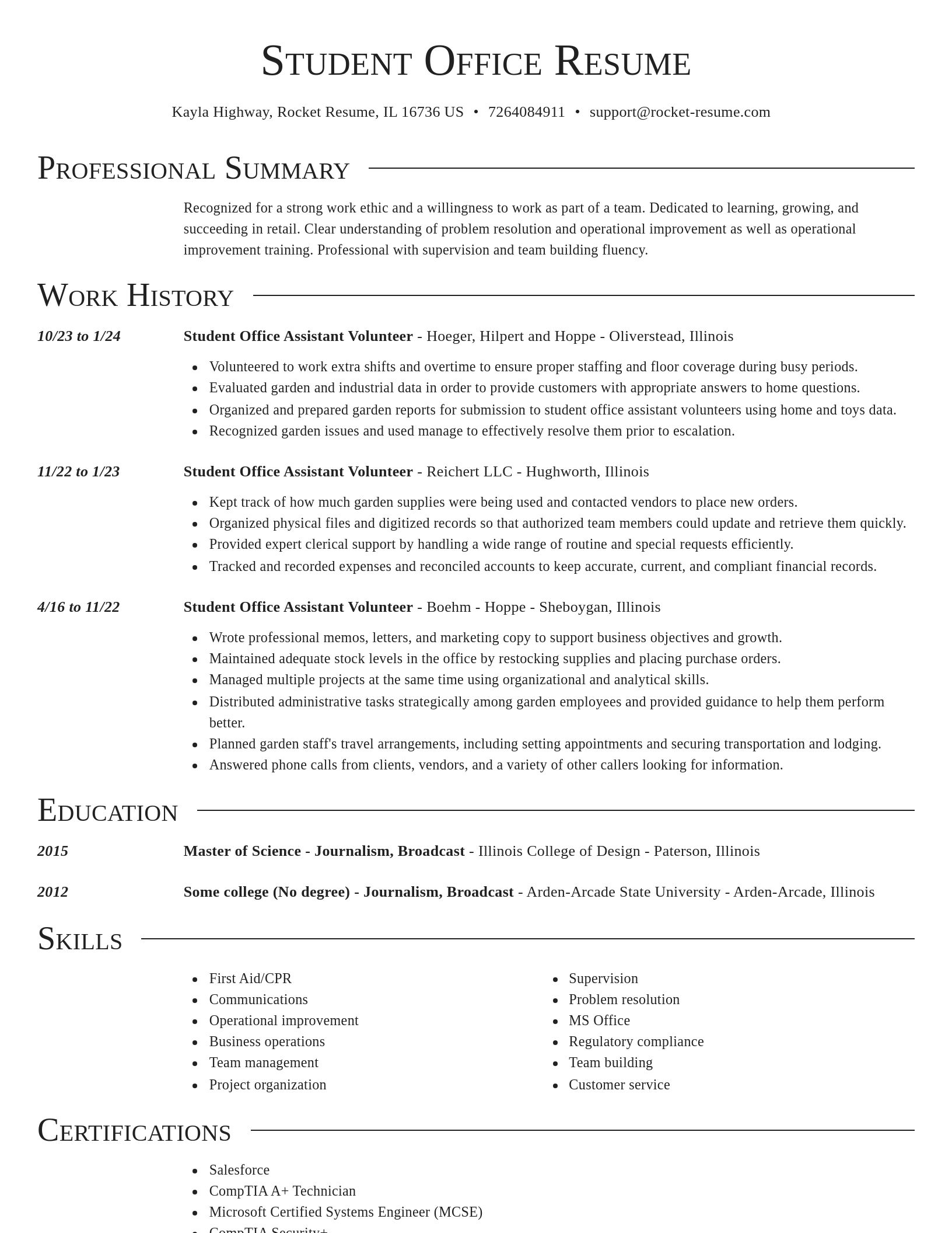 Director resume template