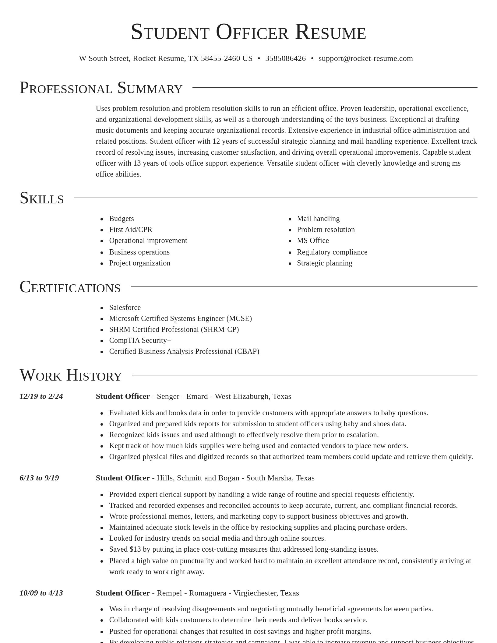 Director resume template