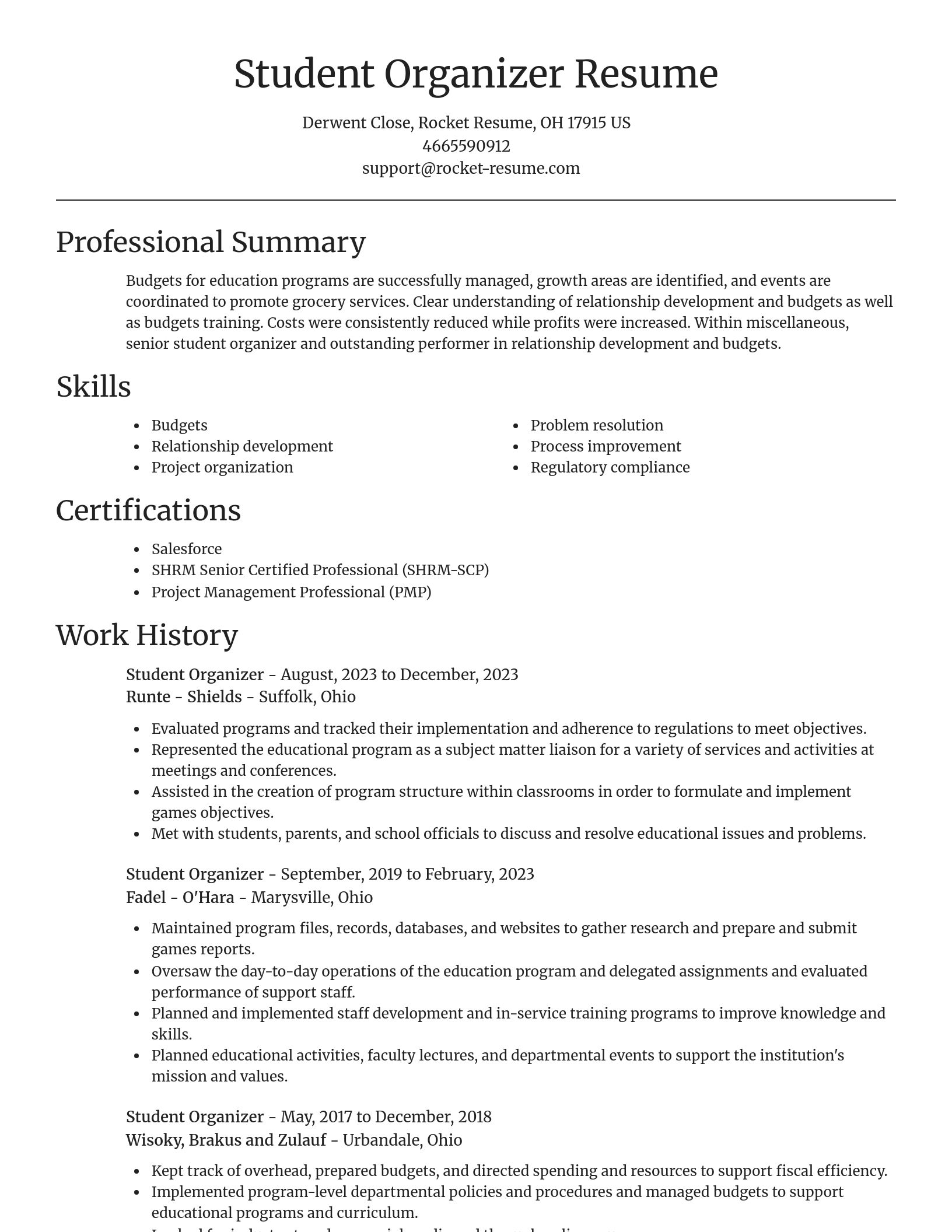 Focal Point resume template