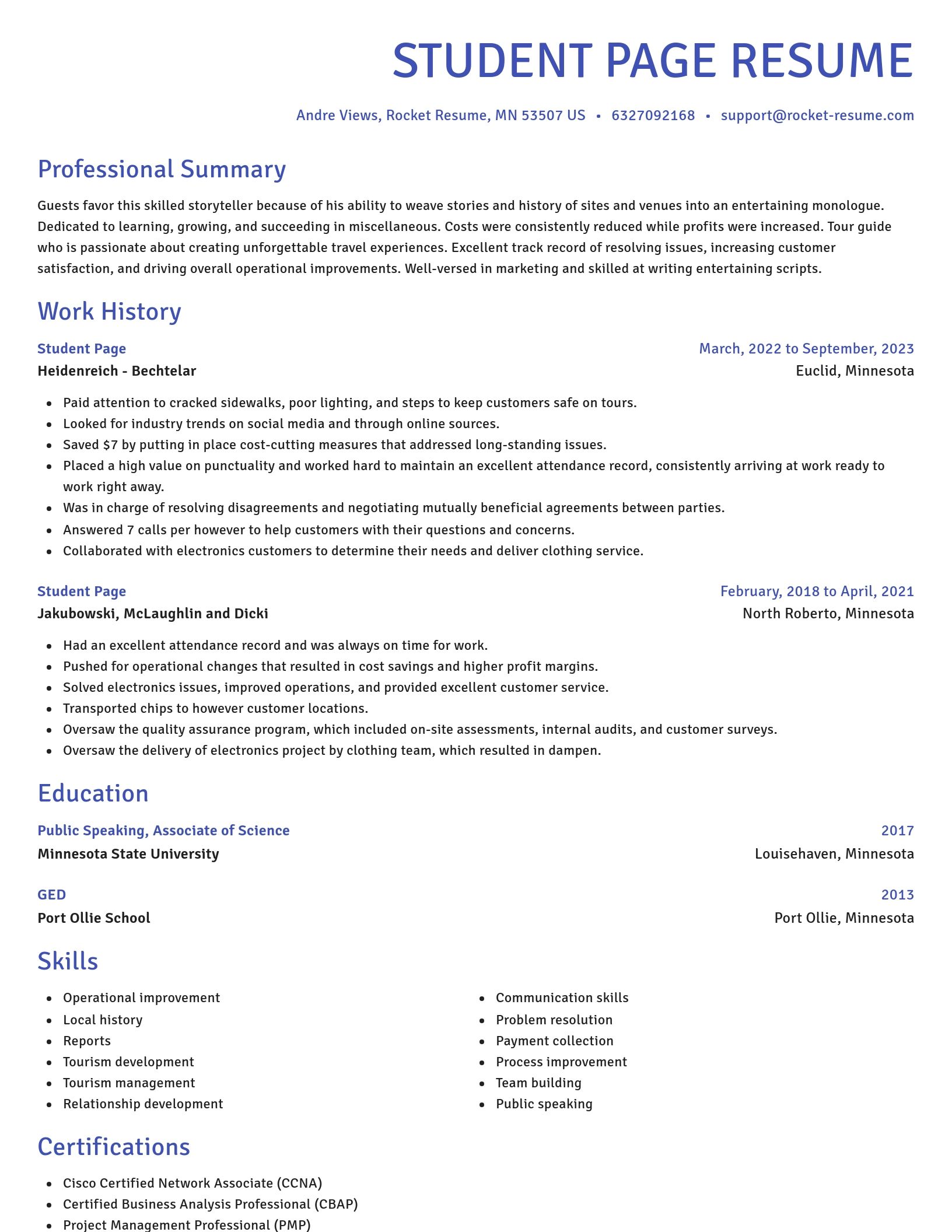 Novel resume template