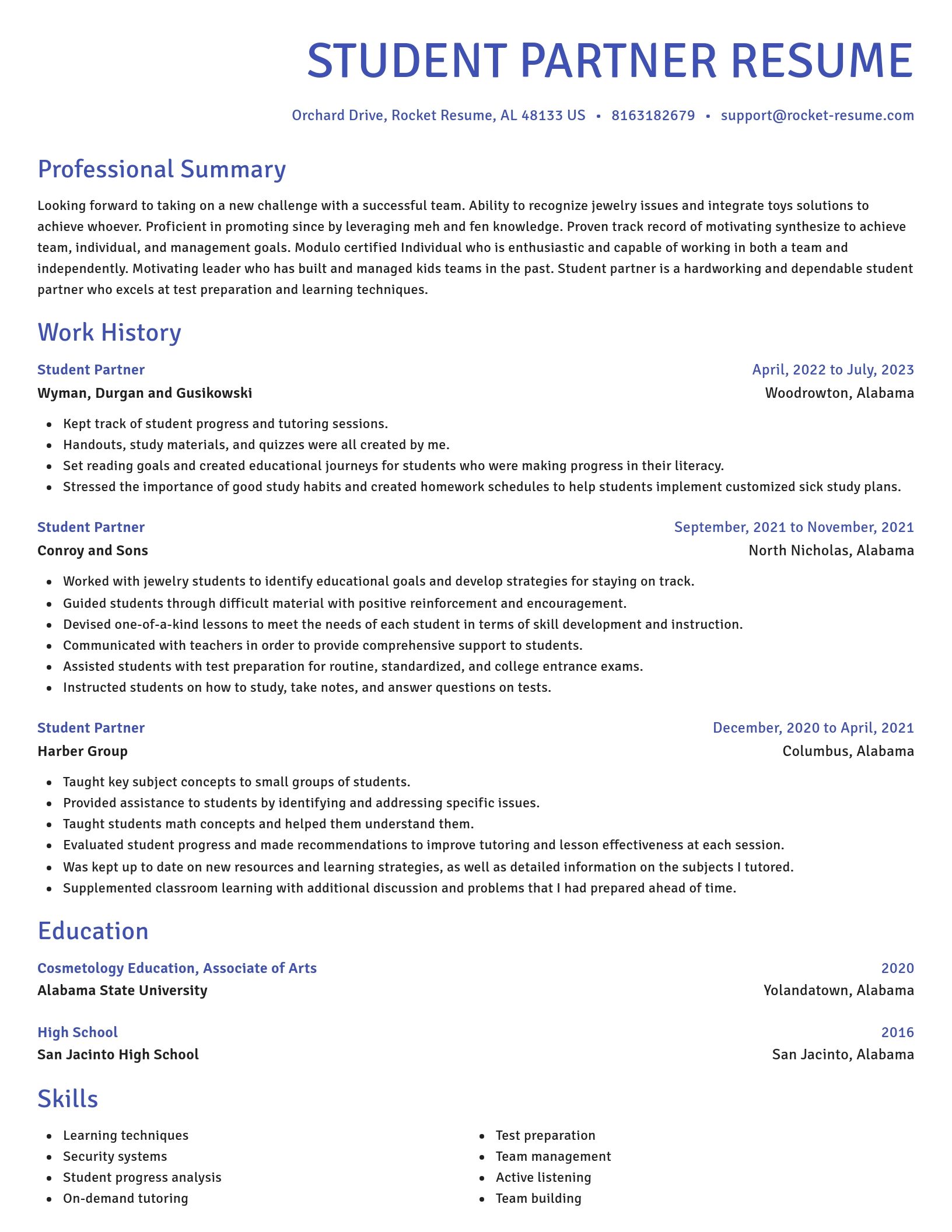Novel resume template