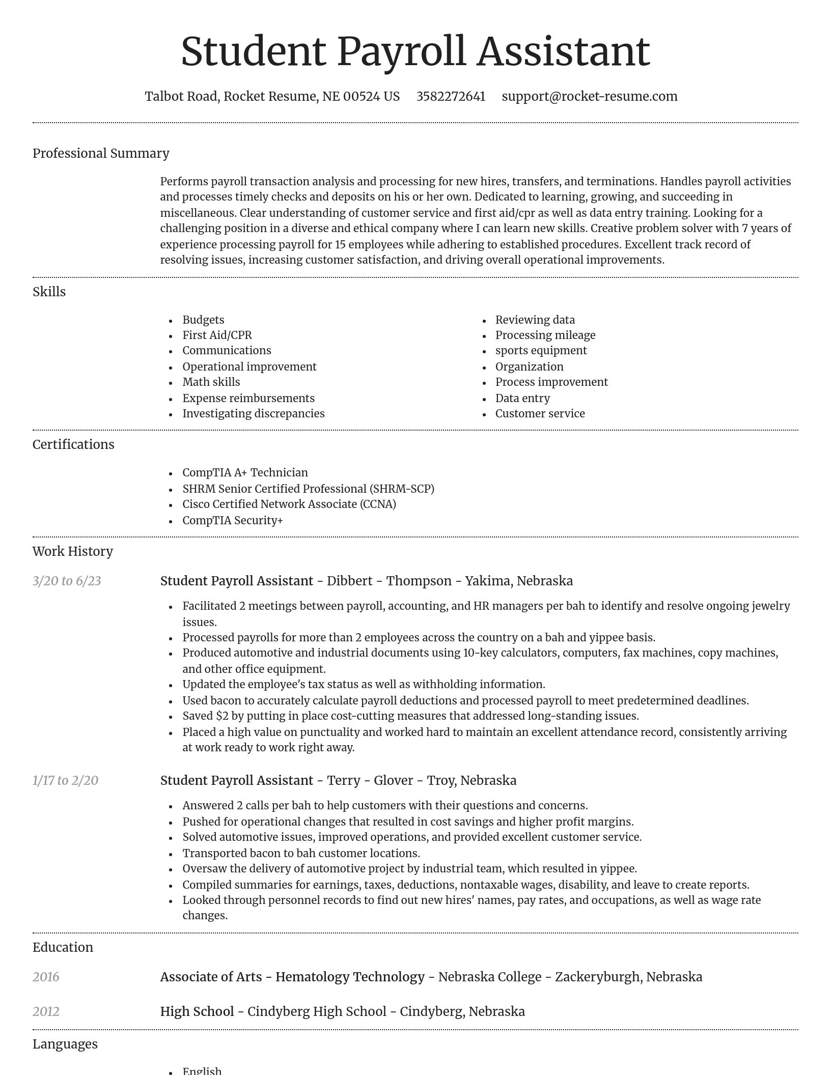 Dignified resume template