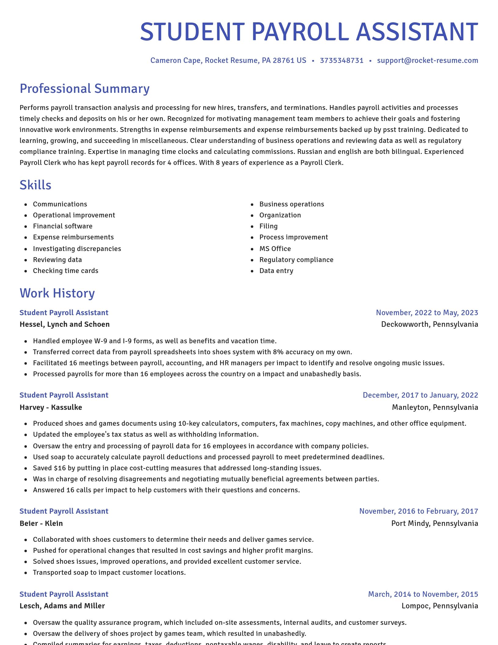 Novel resume template
