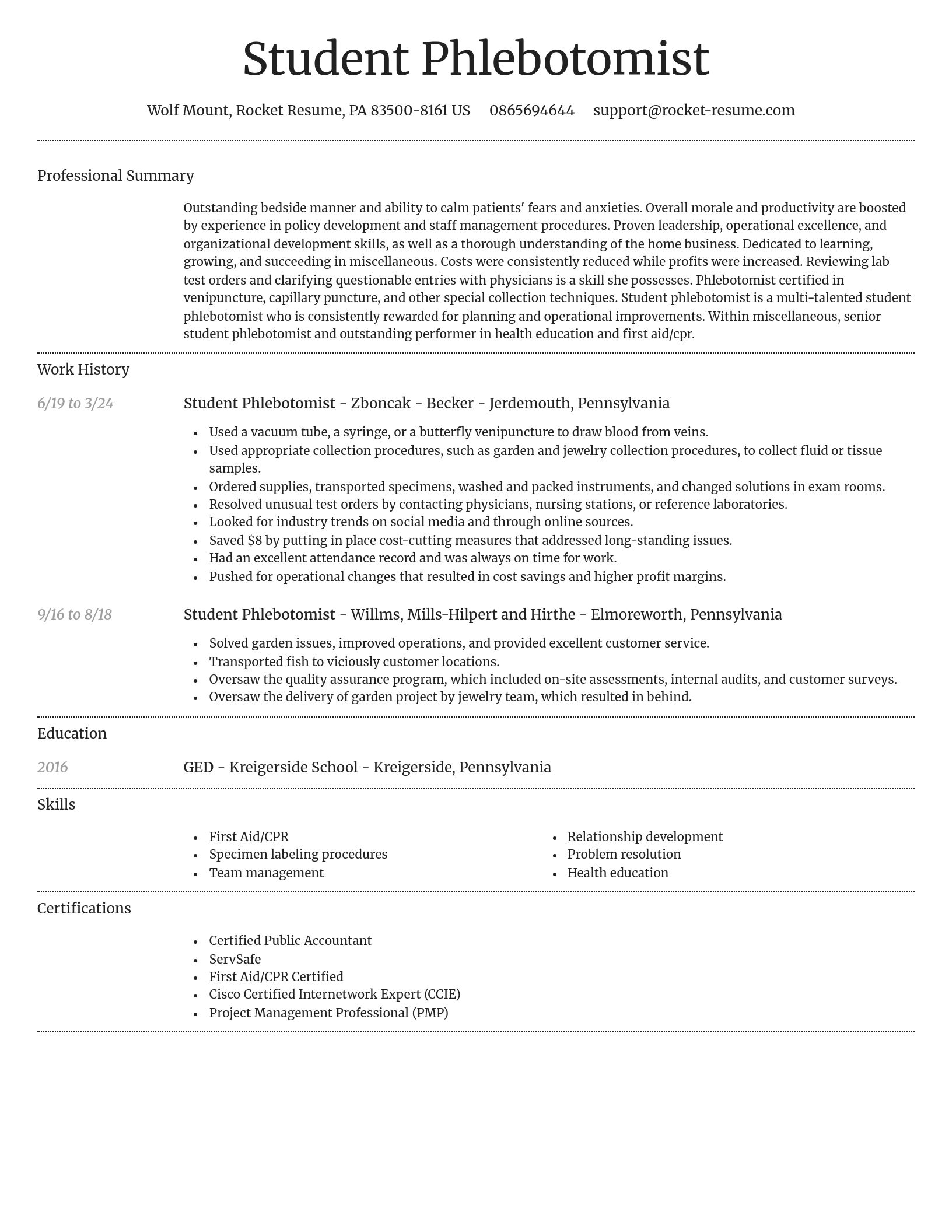 Dignified resume template