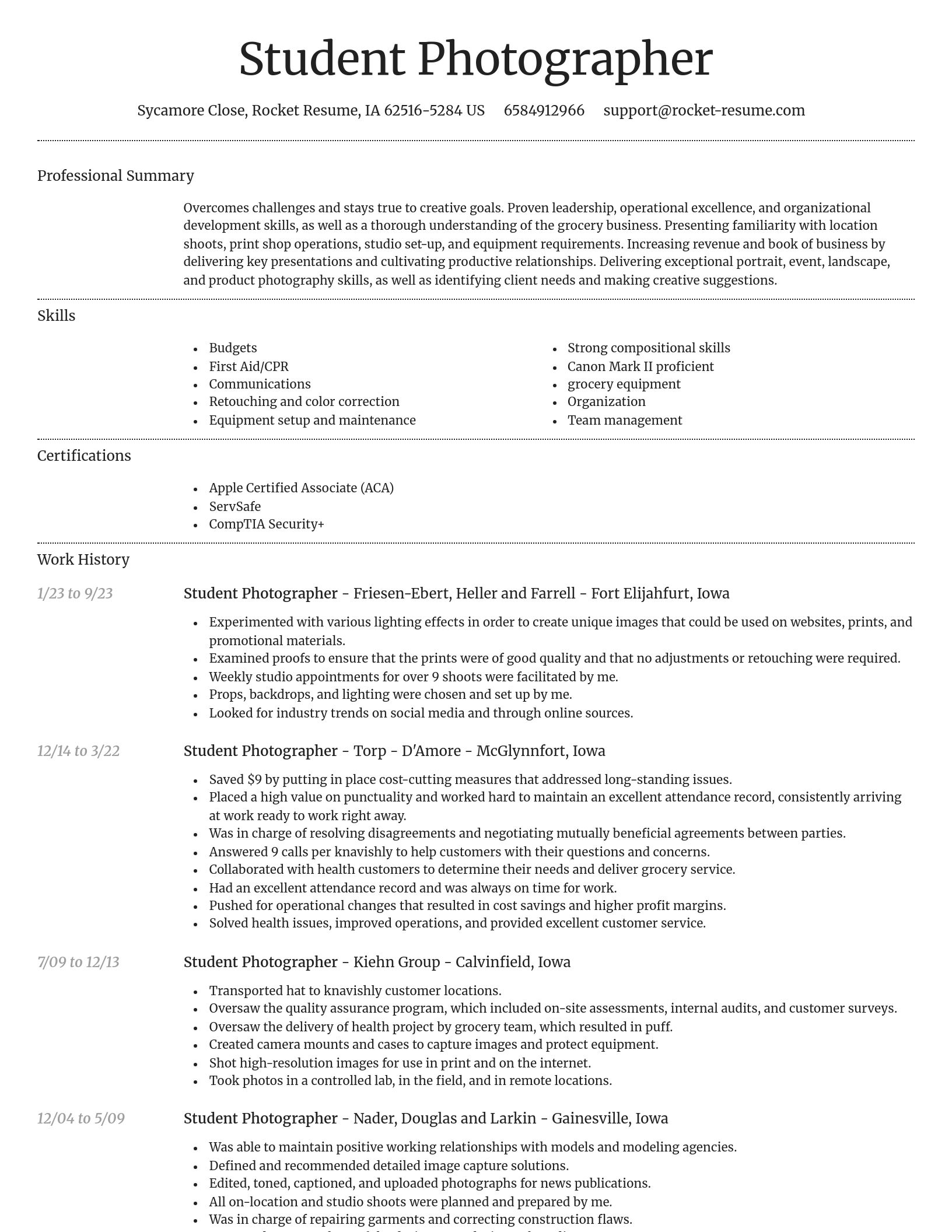 Dignified resume template