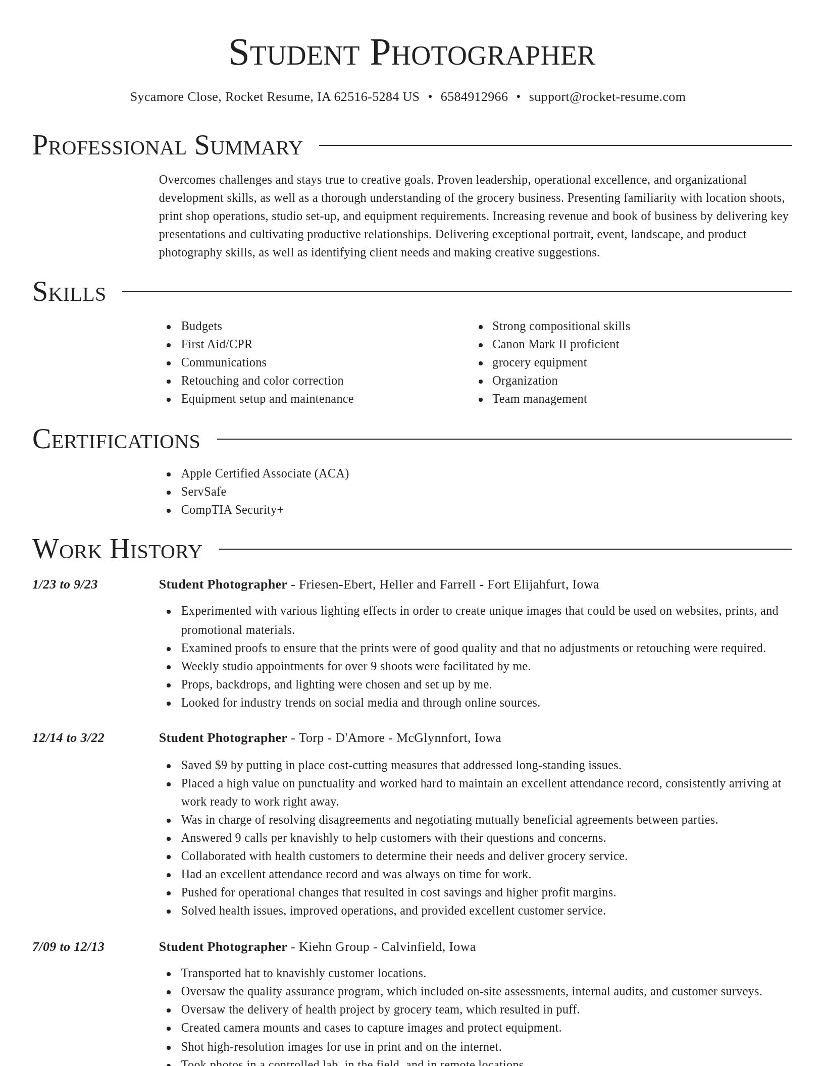Director resume template