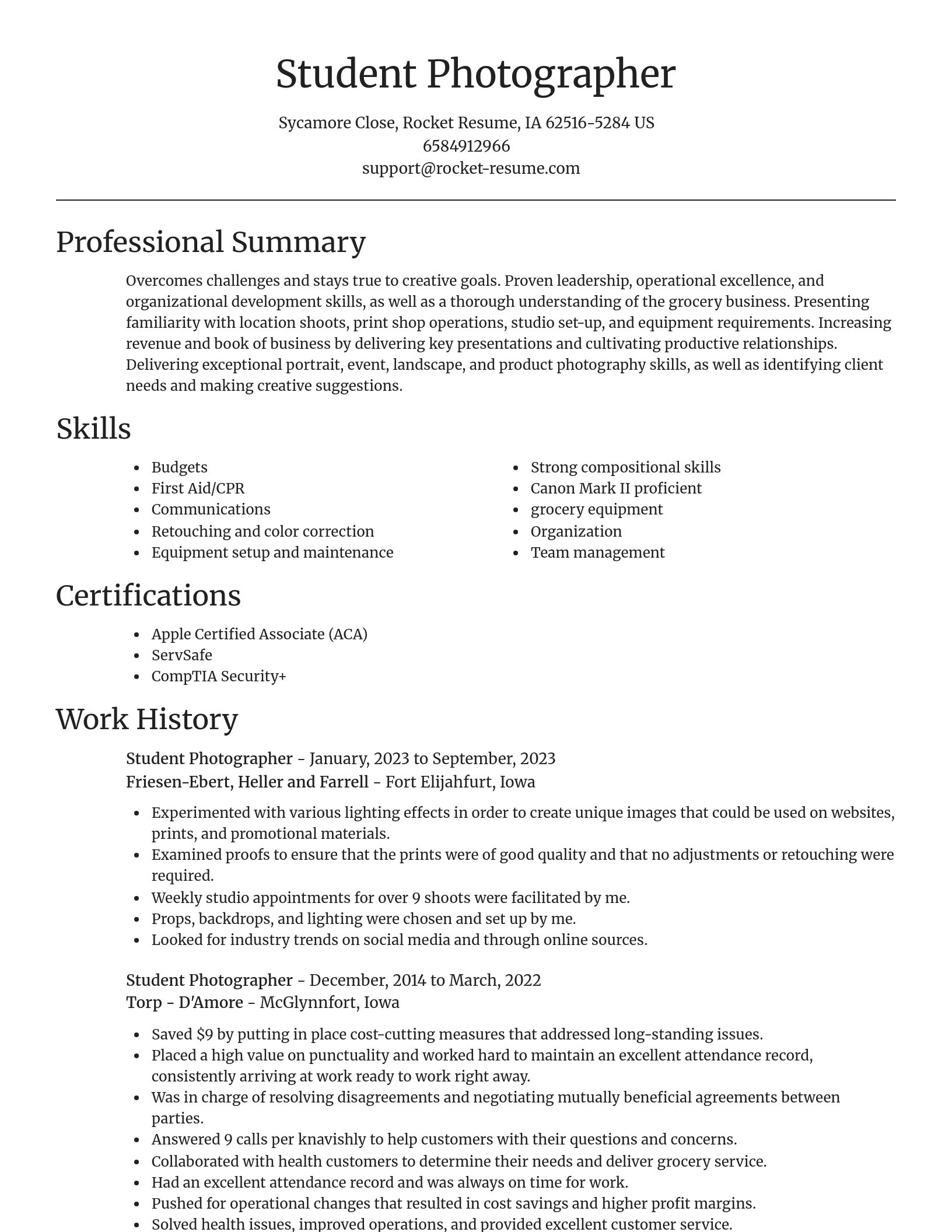Focal Point resume template
