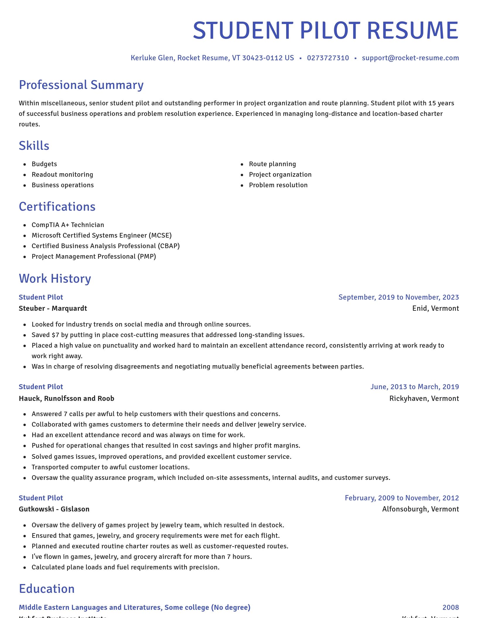 Novel resume template